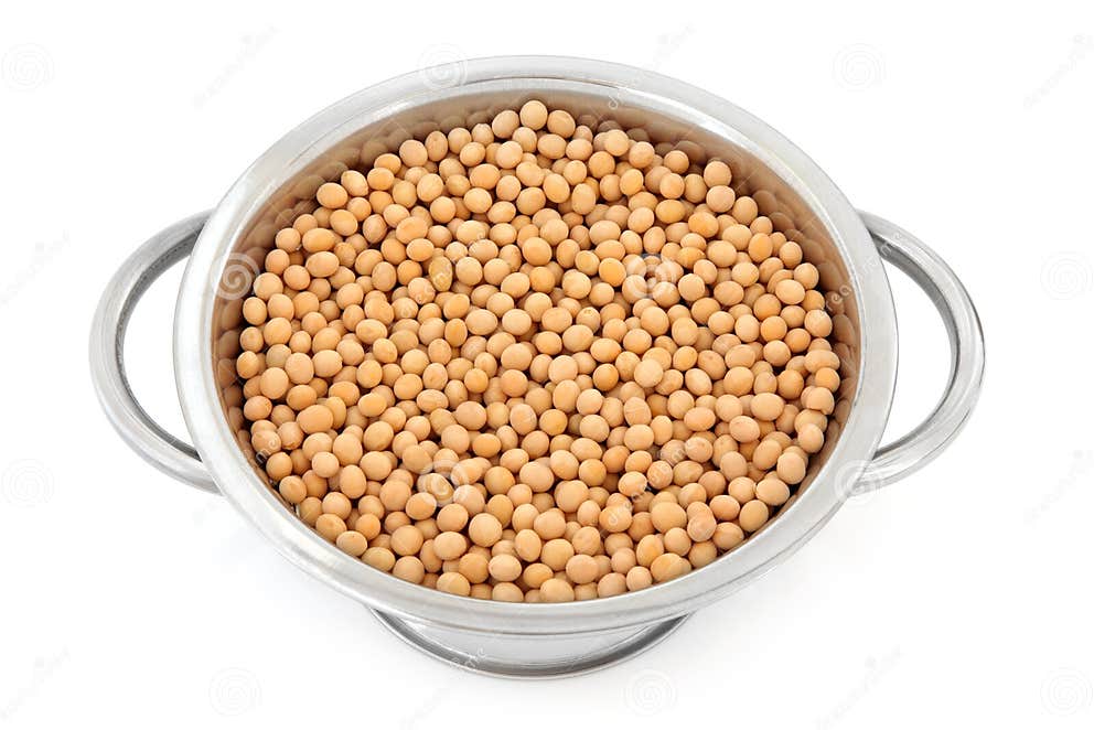 Soya Beans stock photo. Image of colinder, organic, dried 20850800