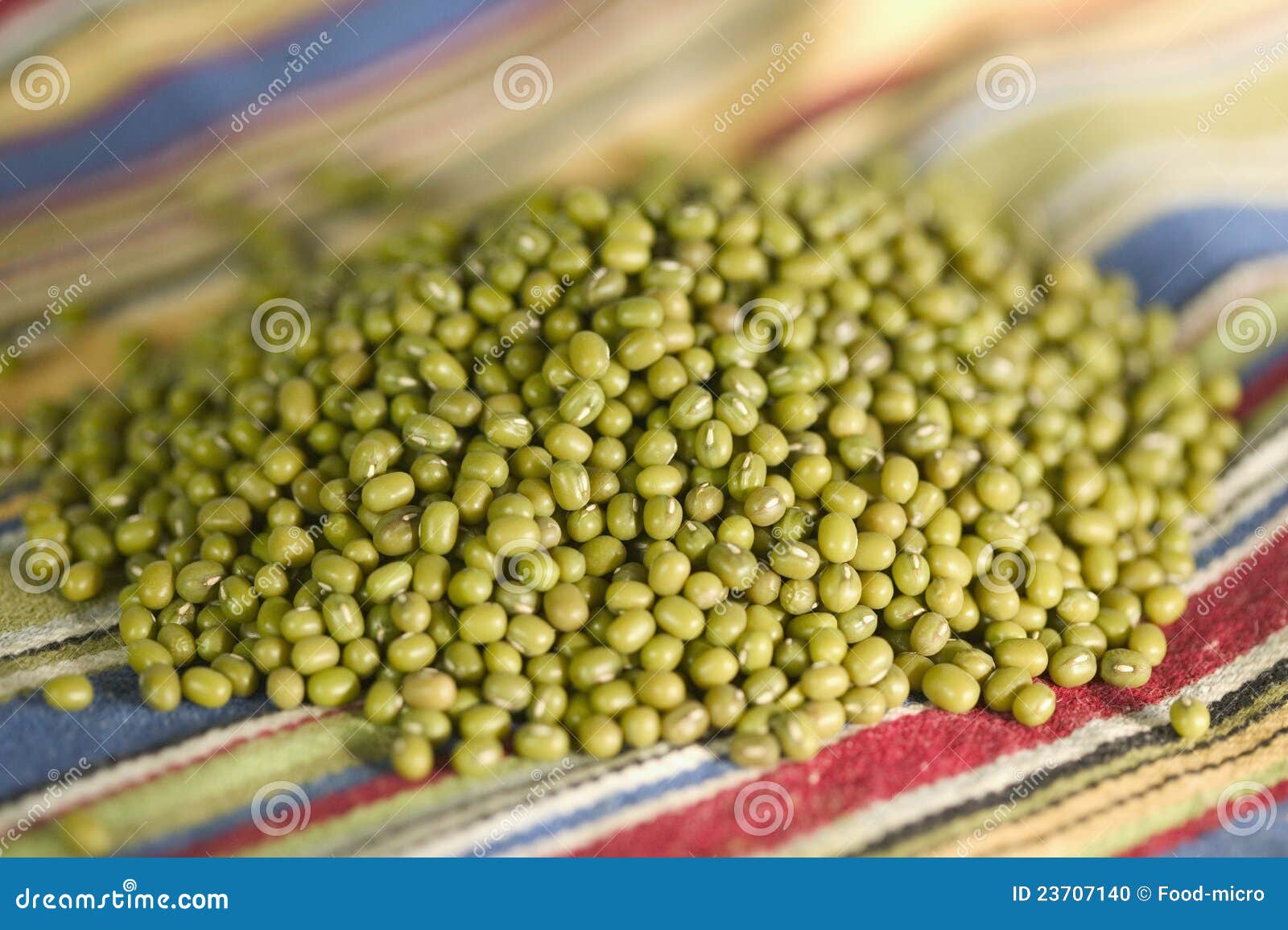 Soya beans stock photo. Image of cereal, grain, color 23707140