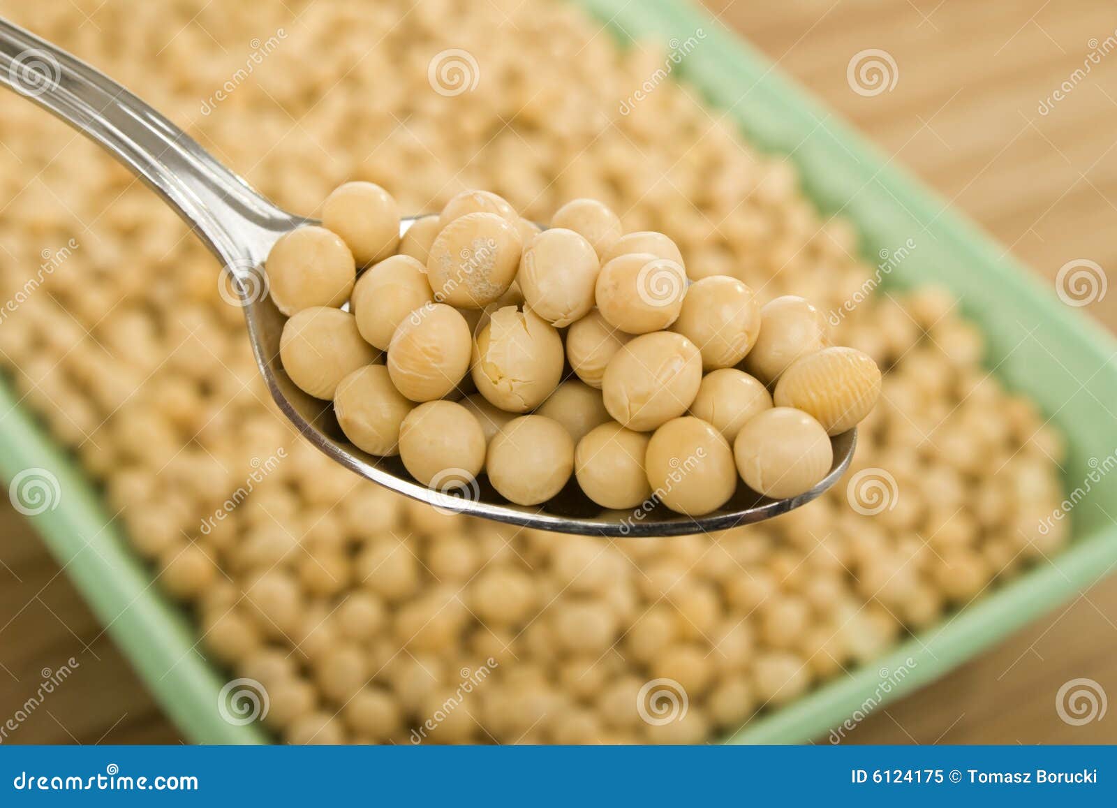 Raw Soya Beans On White Background. Vegetable Planting Stock Photography