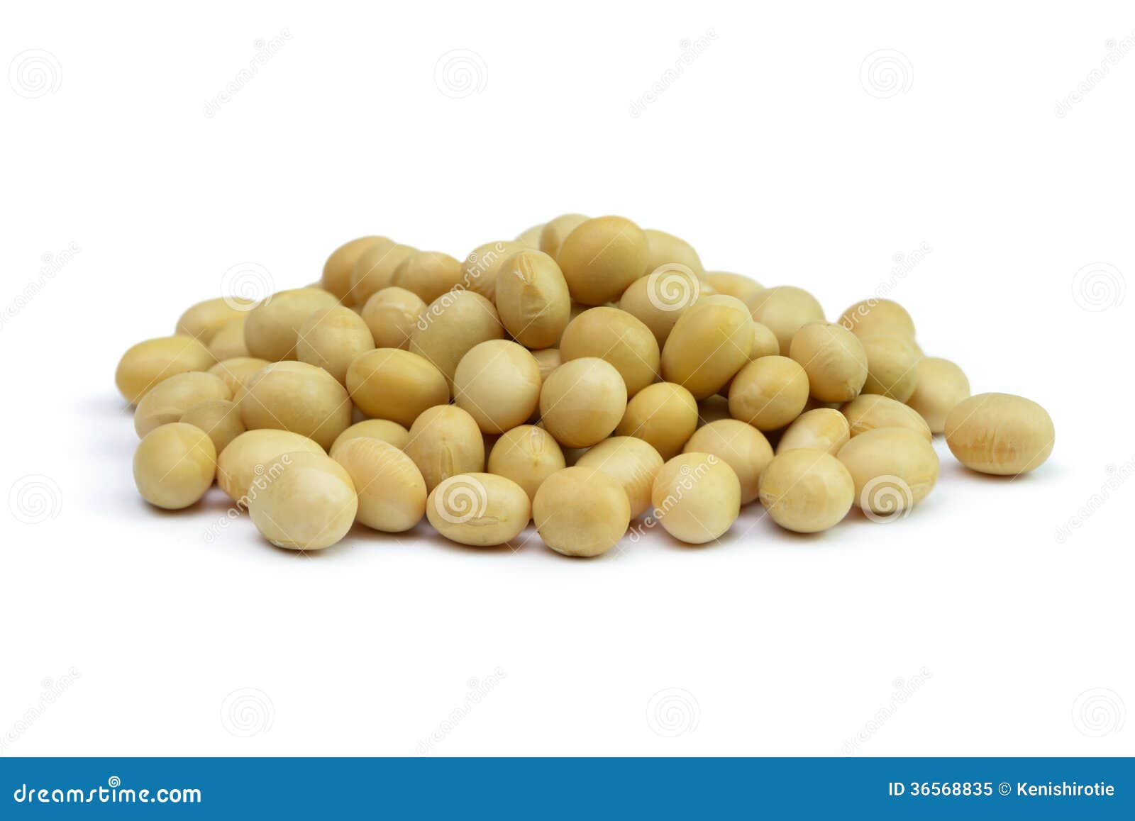 Raw Soya Beans On White Background. Vegetable Planting Stock Photography