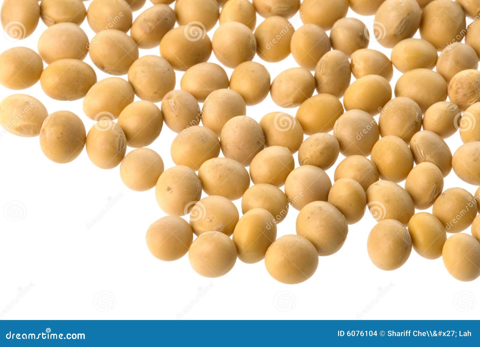 Raw Soya Beans On White Background. Vegetable Planting Stock Photography