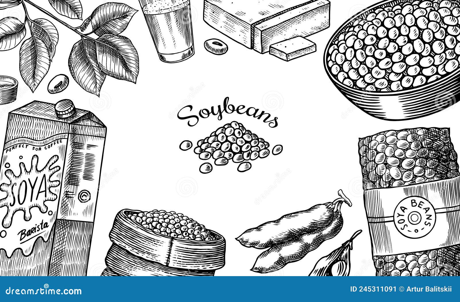 Soybean Drawing Stock Illustrations – 1,264 Soybean Drawing Stock  Illustrations, Vectors & Clipart - Dreamstime