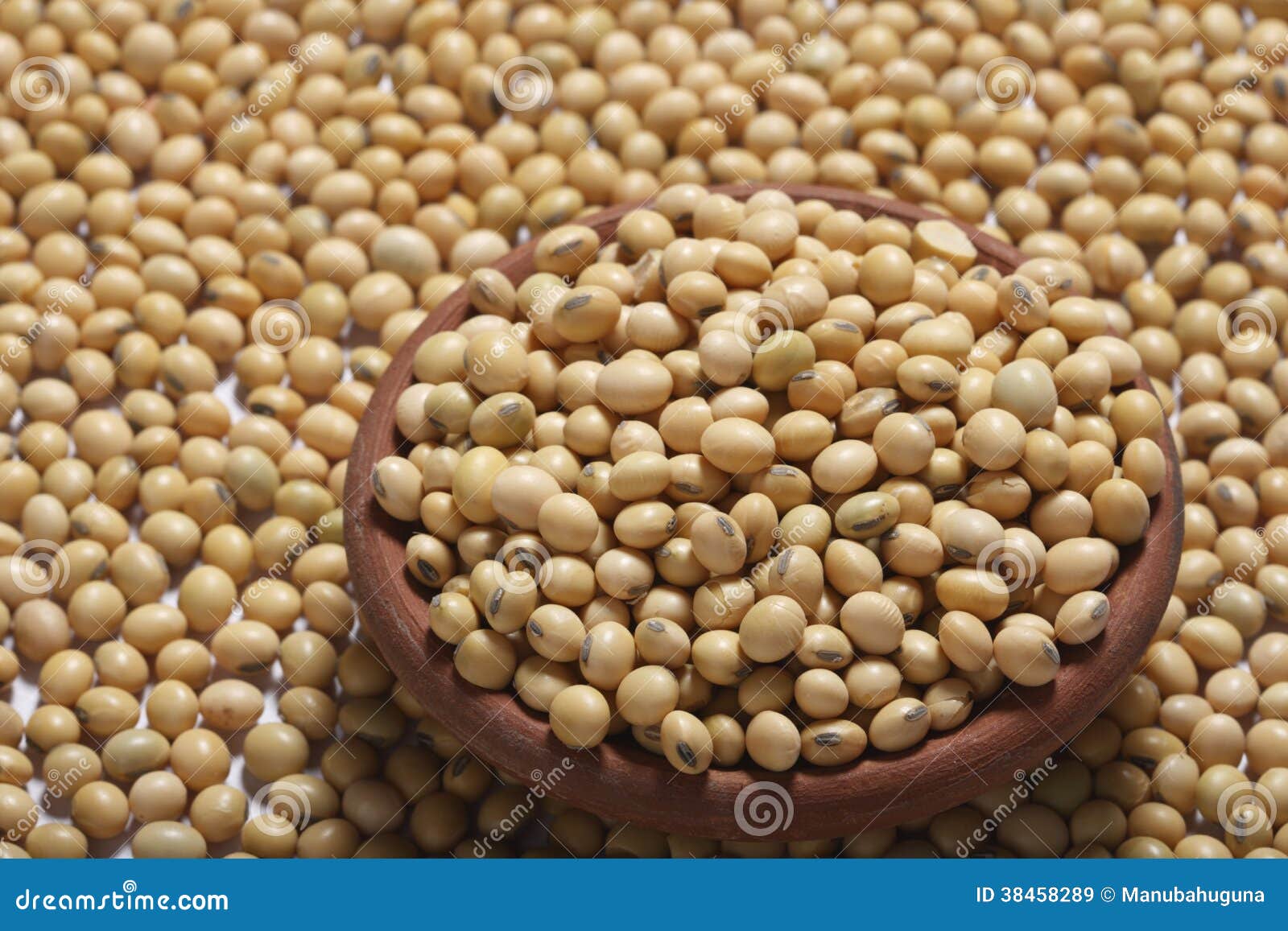 Soyabean a Legume Often Used Like Vegetable. Stock Image Image of