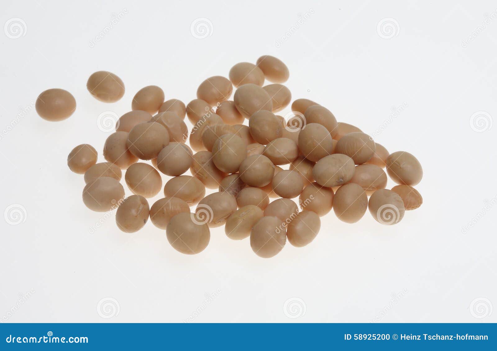 Soybean, Glycine max stock photo. Image of legumes, legume - 58925200