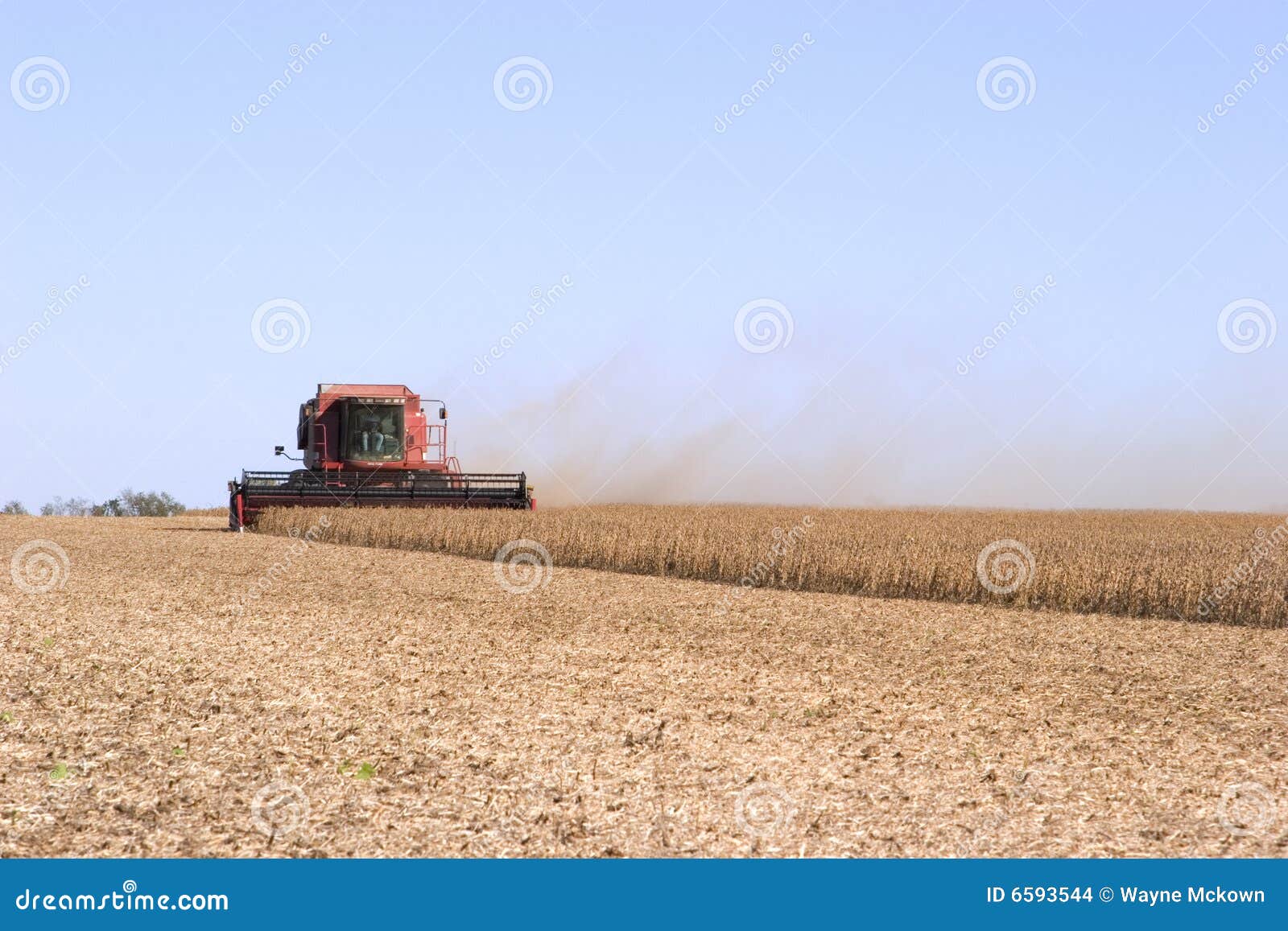 Soybean harvest stock photo. Image of fertilizer, field 6593544