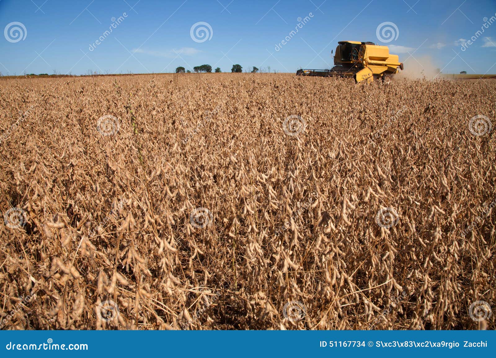 Soybean harvest. stock photo. Image of brazil, machine 51167734