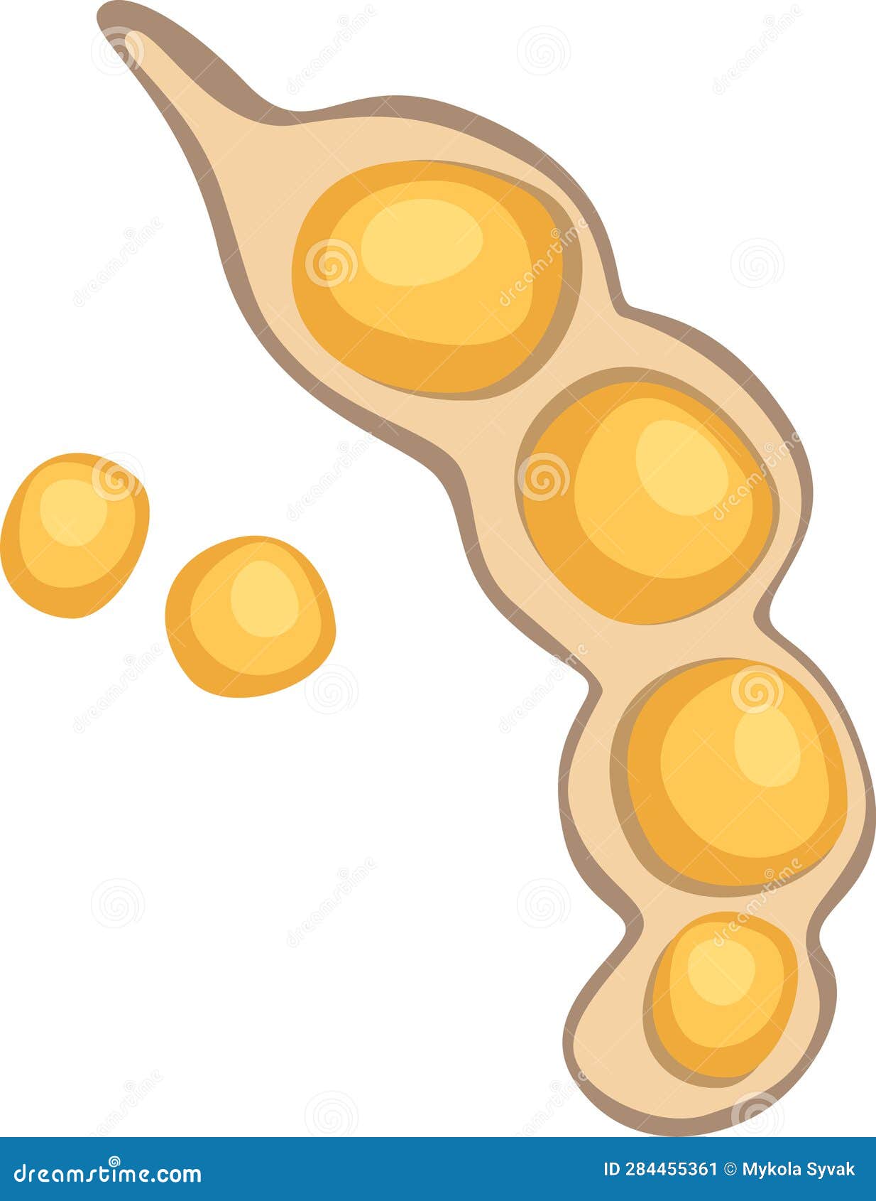 Soybean Plant Fruit stock vector. Illustration of white 284455361