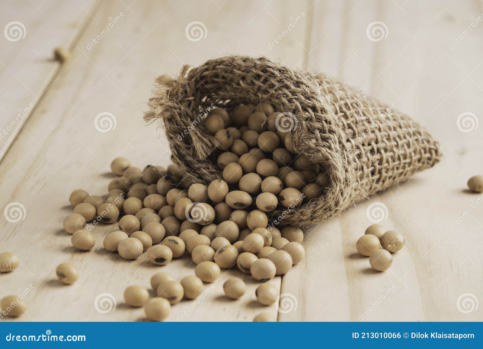 Closeup Bag Soya Beans Stock Photo 1530810578 | Shutterstock