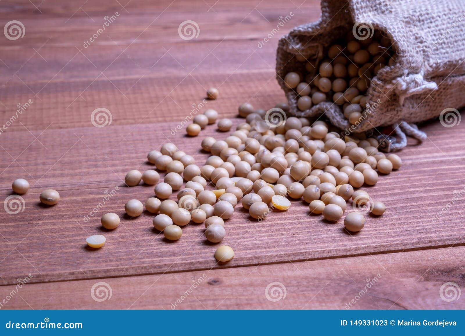 Soybeans Fall Out of an Open Canvas Bag on a Wooden Table. Soy Beans