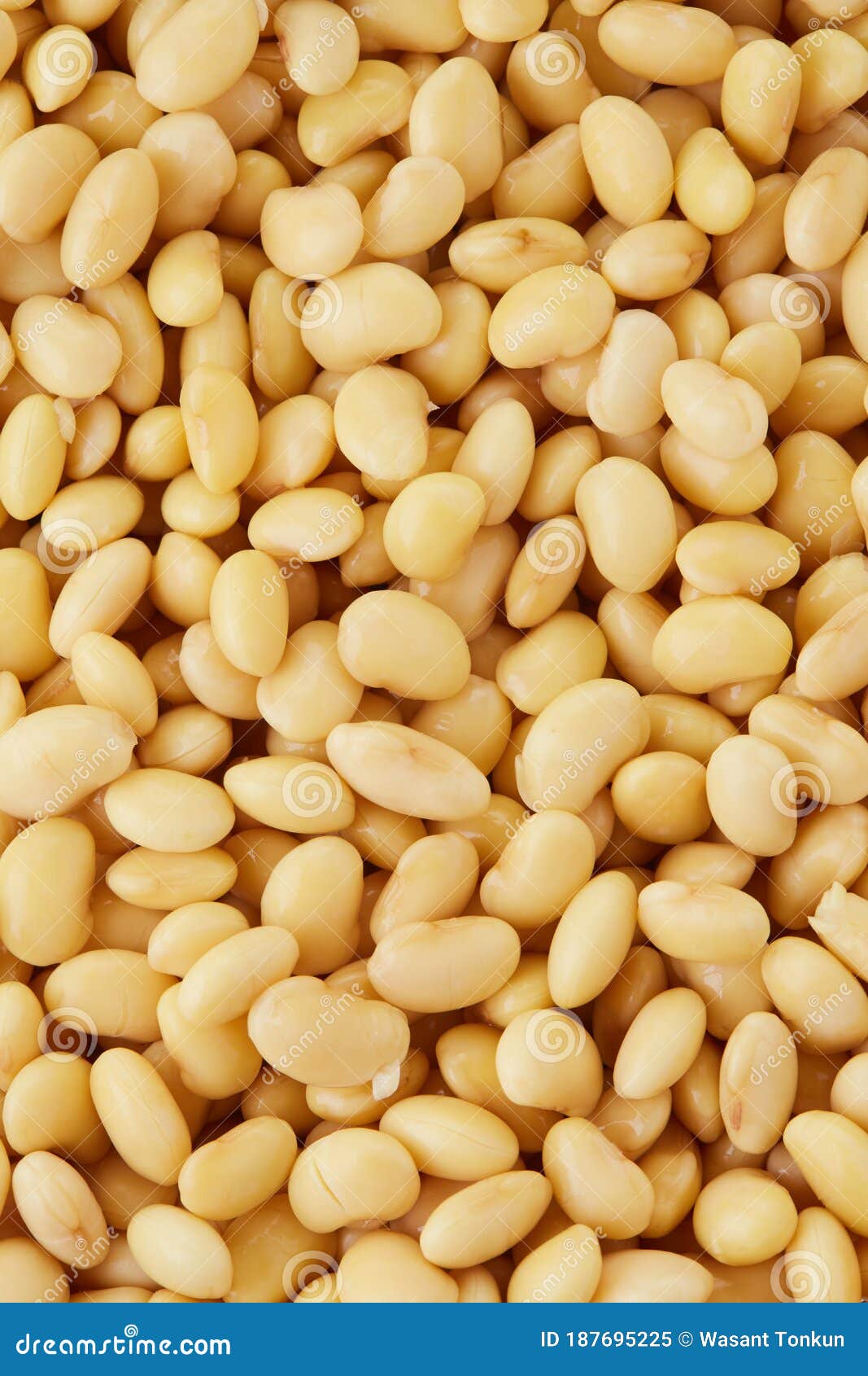 Soybeans full perfect stock image. Image of snack, organic 187695225