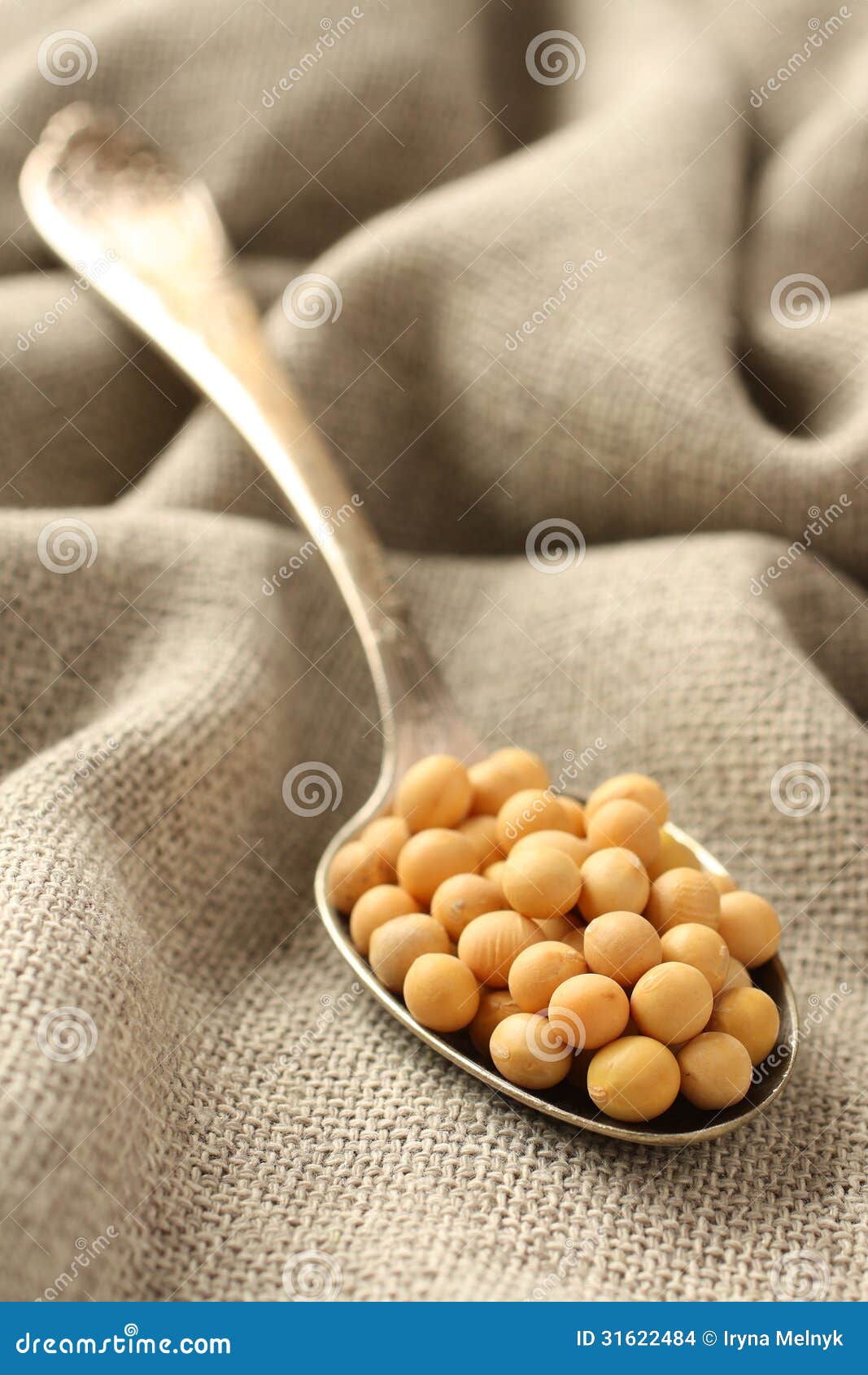 soybeans in metal spoon on sackcloth background