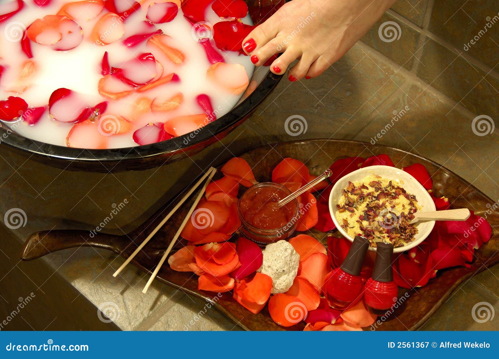 Spa Beauty Foot Bath Treatment Stock Image Image of aging, relaxation 2561367