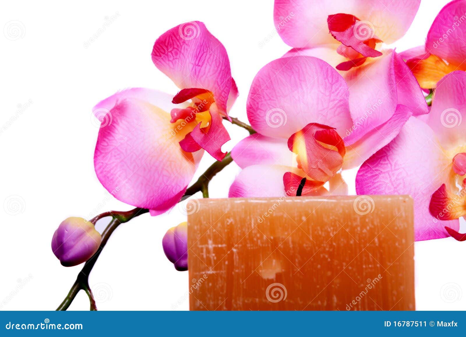 Spa Candle and Flower for Aromatherapy Stock Image Image of