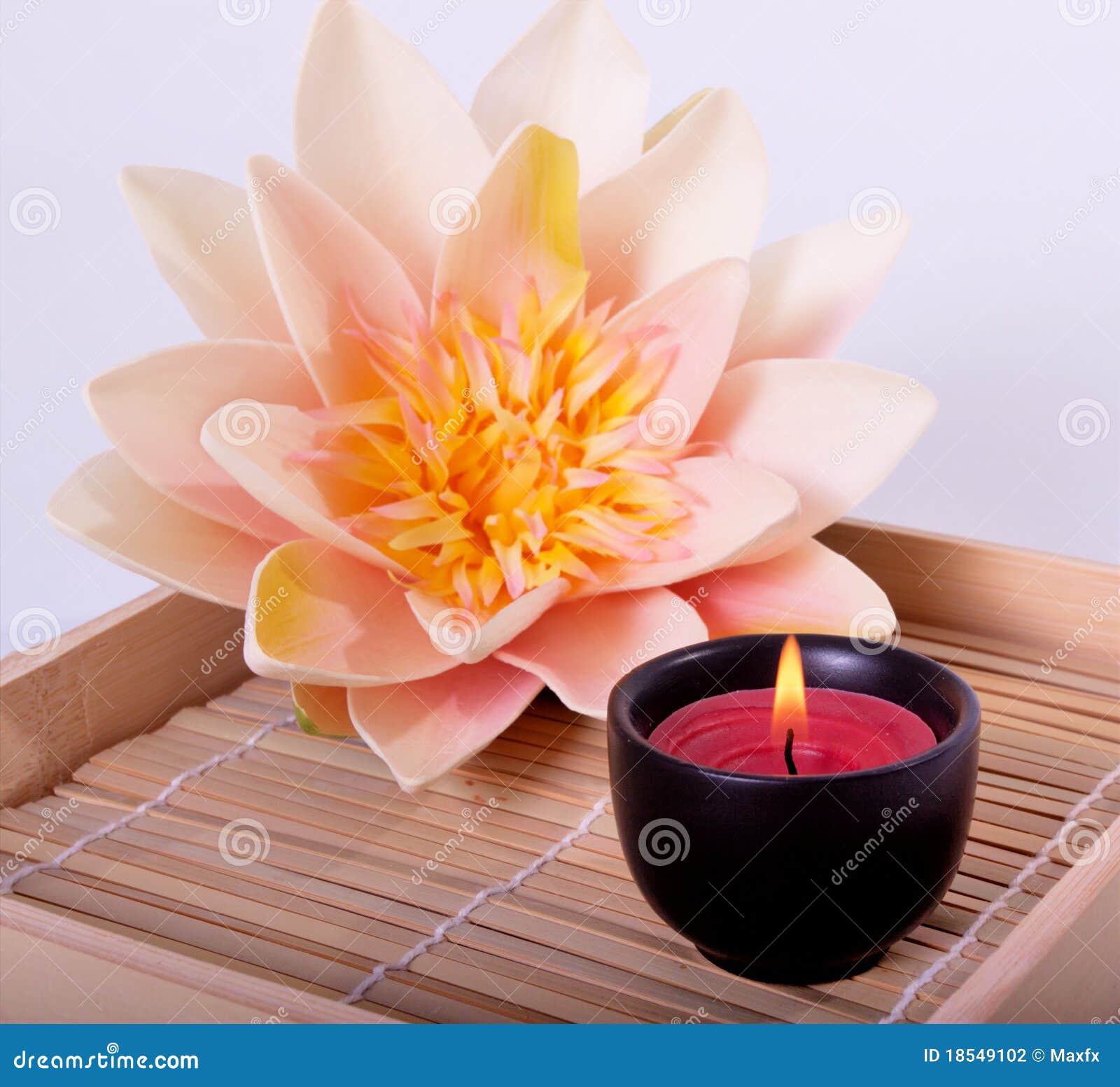 Spa Candle and Flower for Aromatherapy Stock Photo Image of white