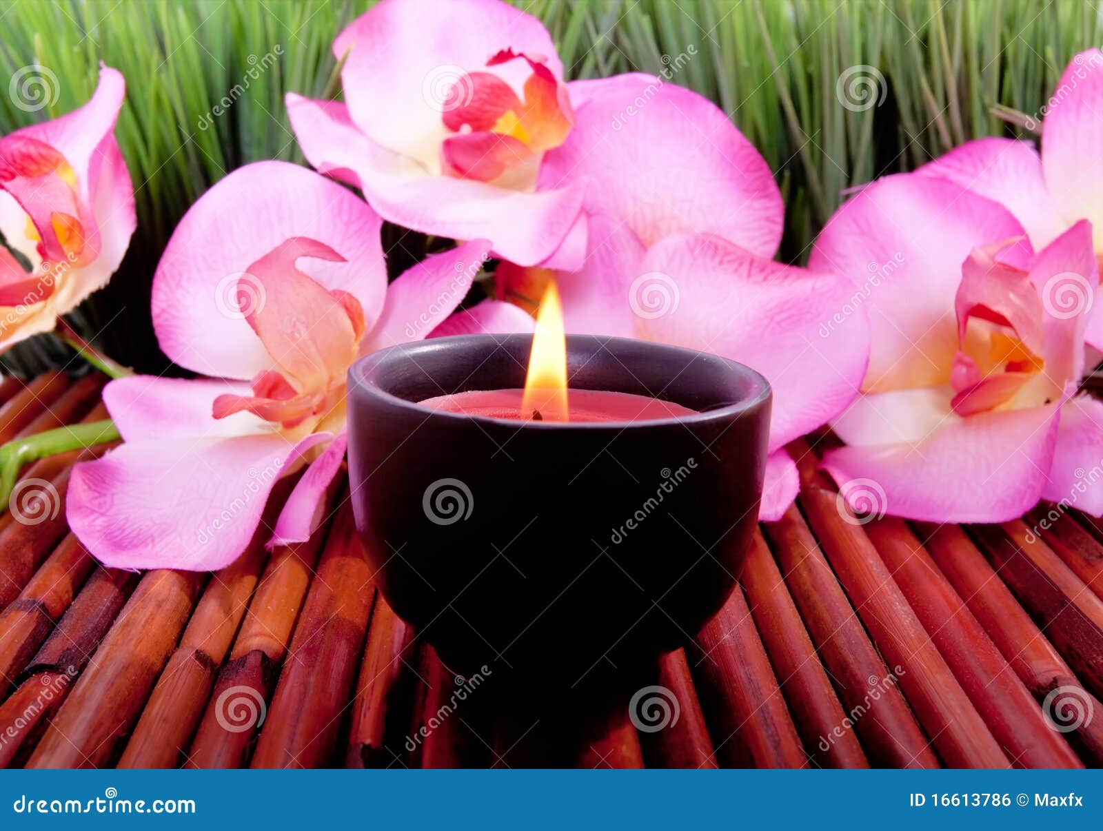 Spa Candle and Orchid Flower for Aromatherapy Stock Photo Image of