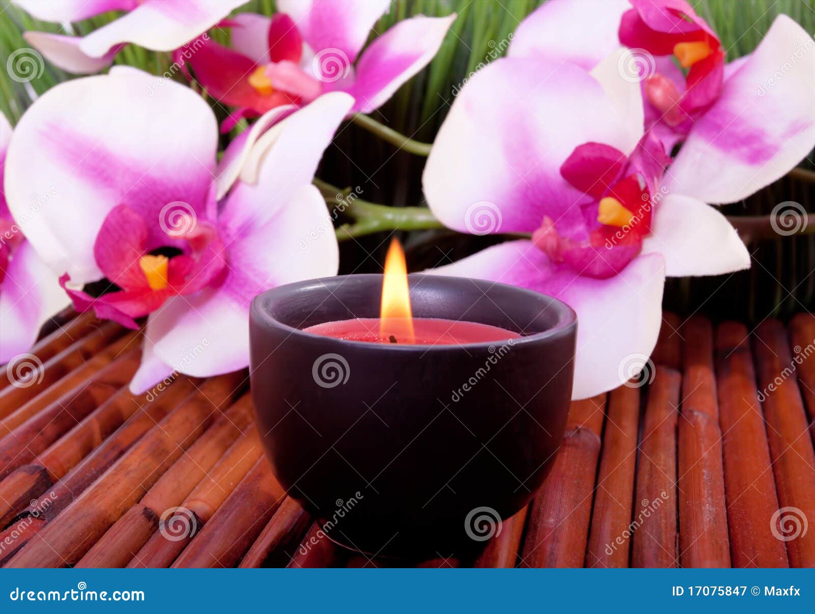 Spa Candle and Orchid Flower for Aromatherapy Stock Image Image of