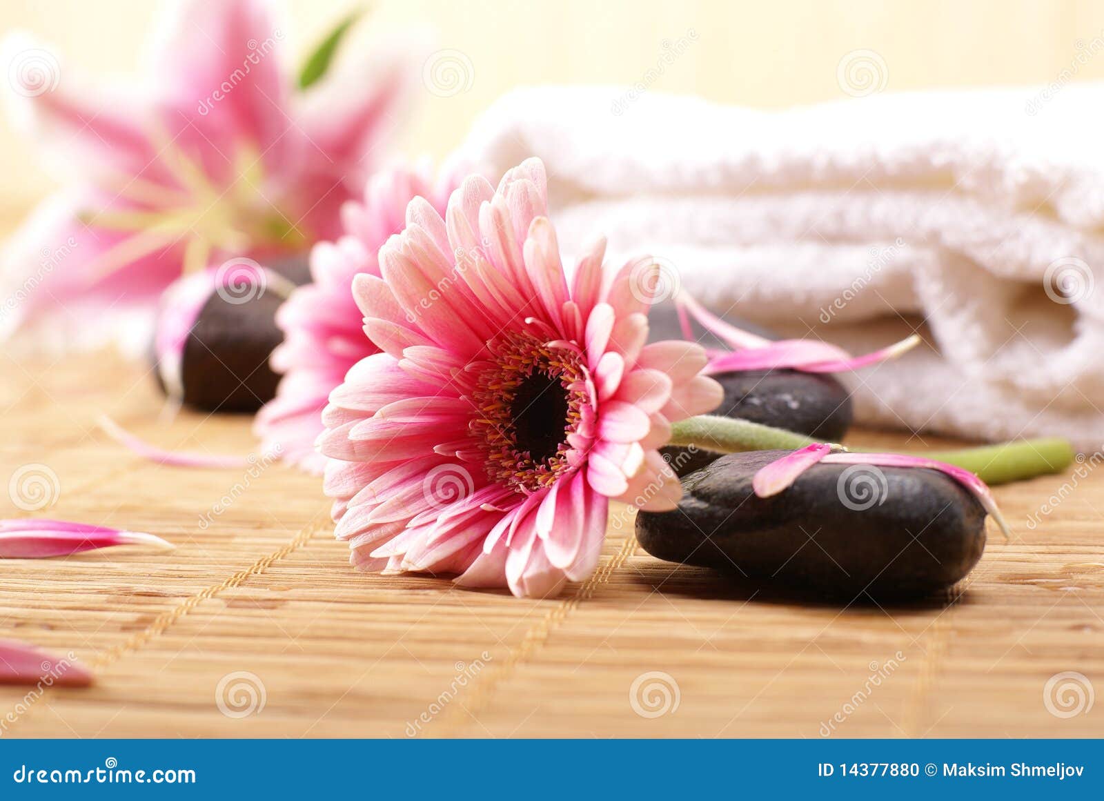 A spa composition with pink flowers, lava stones and a white towel. Taken on a bamboo background.