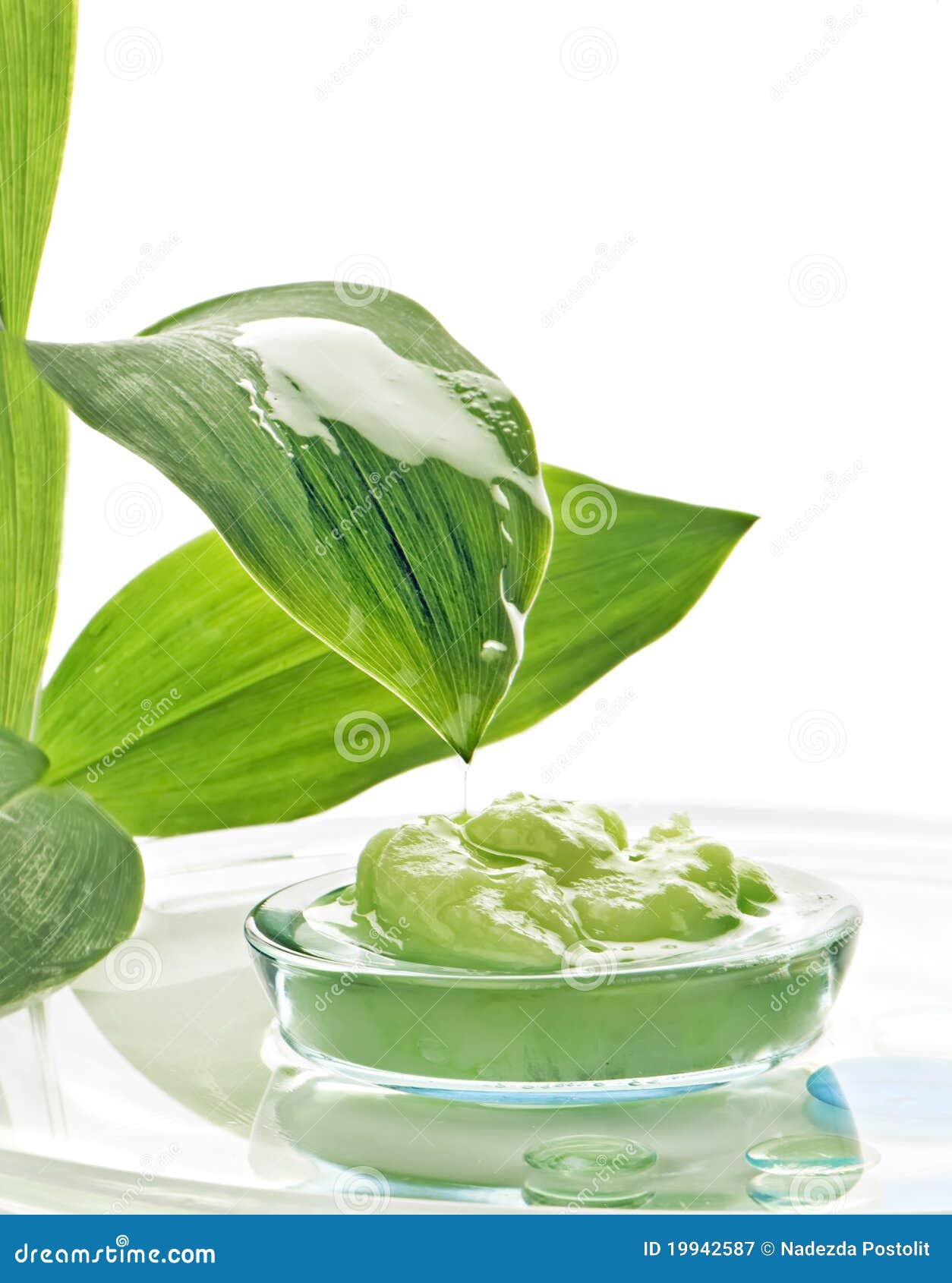 Spa cosmetics and plants stock image. Image of beauticraft 19942587