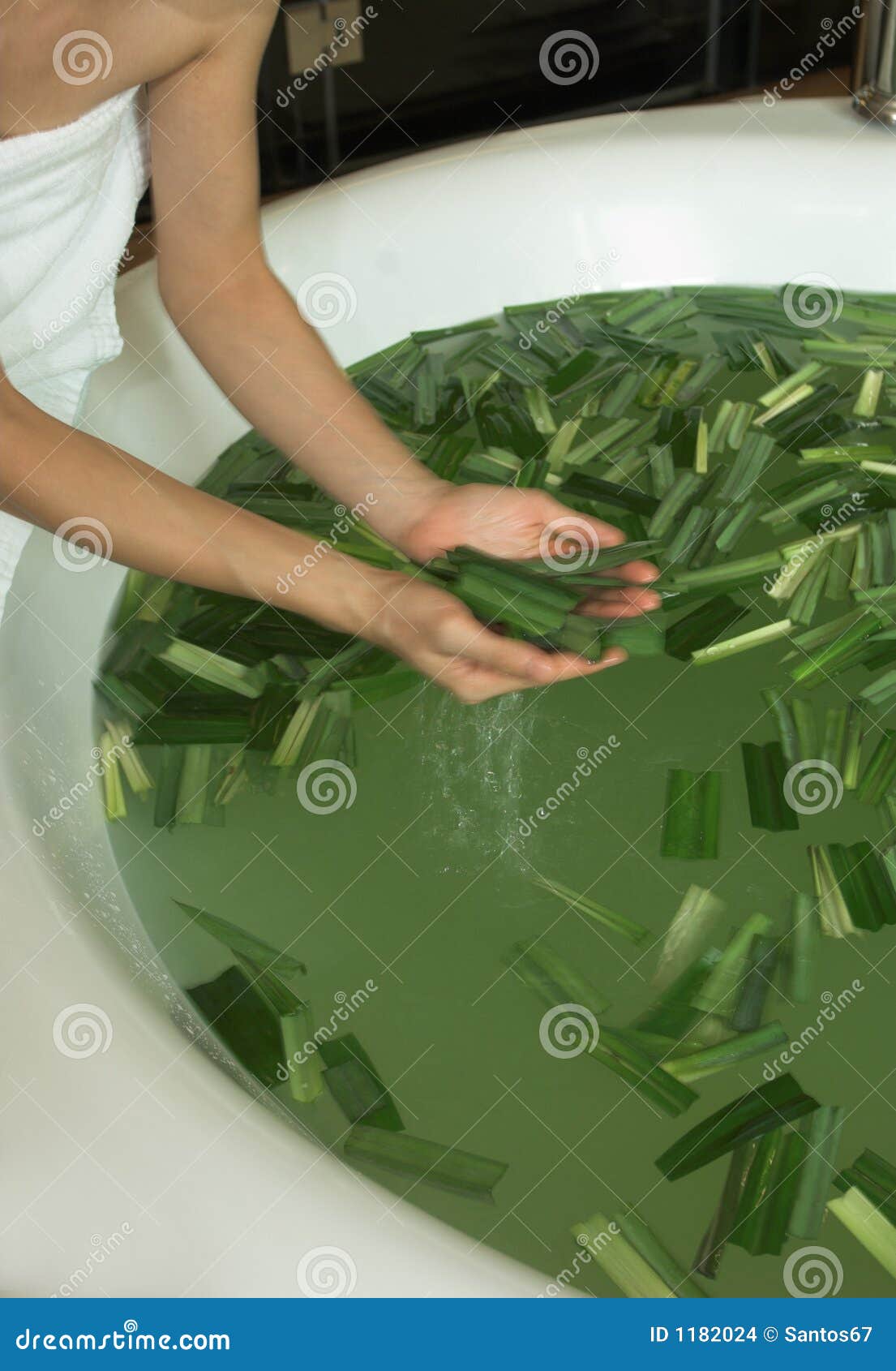 Spa leaves bath stock photo. Image of hands, massage, relax 1182024