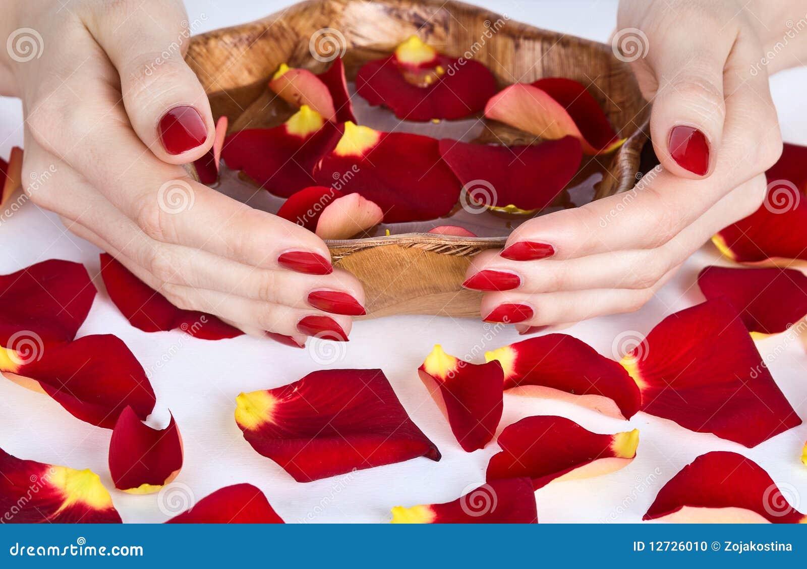 Spa Manicure with Rose Petals Stock Photo Image of nail, lacquer