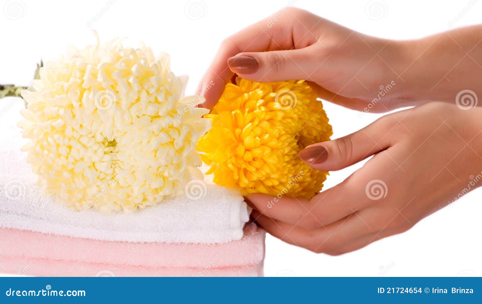 Spa salon stock photo. Image of healthy, chrysanthemum 21724654