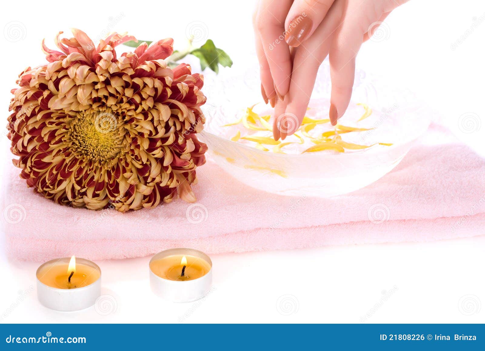 Spa salon stock photo. Image of aromatherapy, nails, chrysanthemum