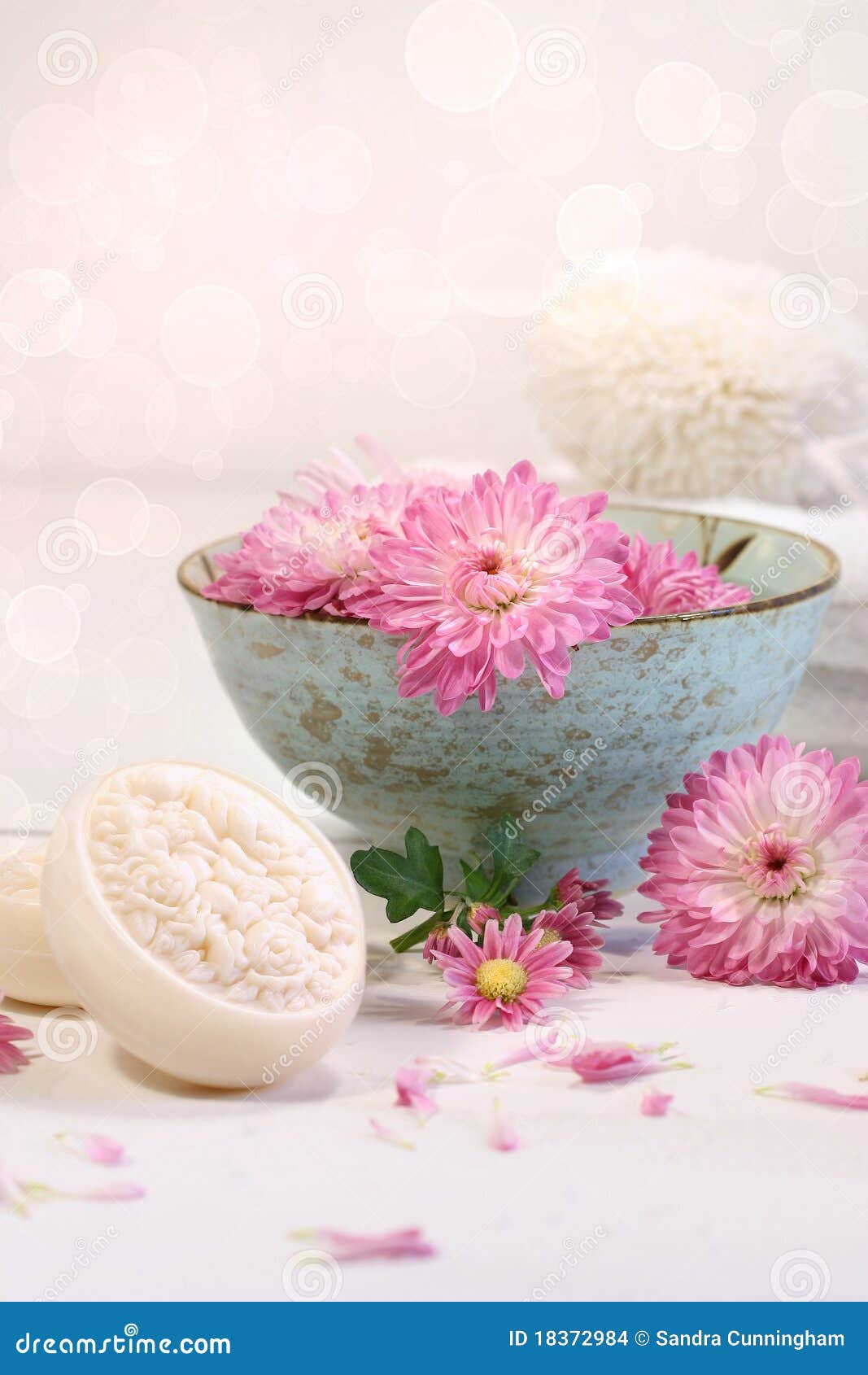 Spa Scene with Chrysanthemum Flowers in Water Stock Photo Image of
