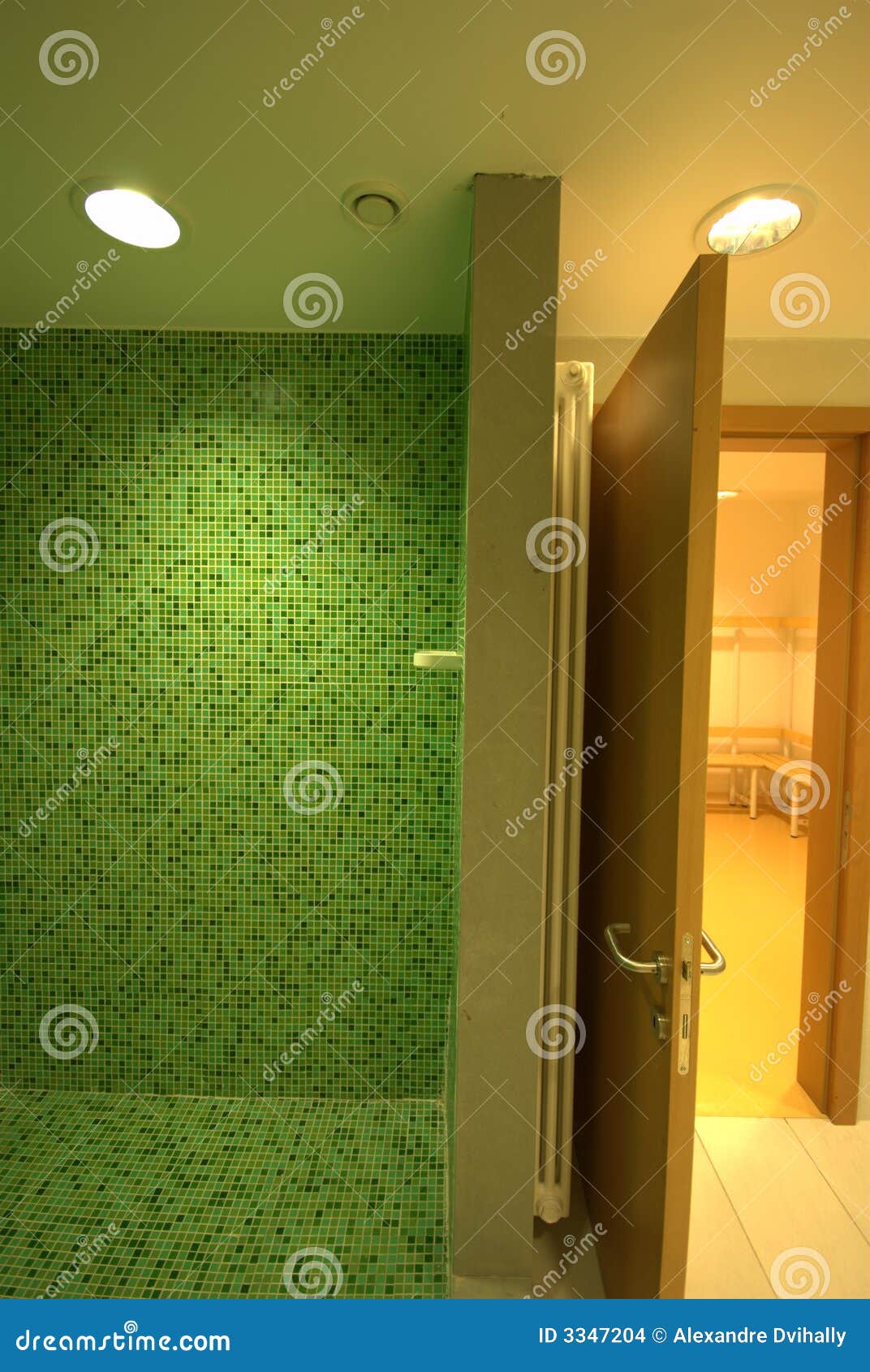 spa showers bathroom