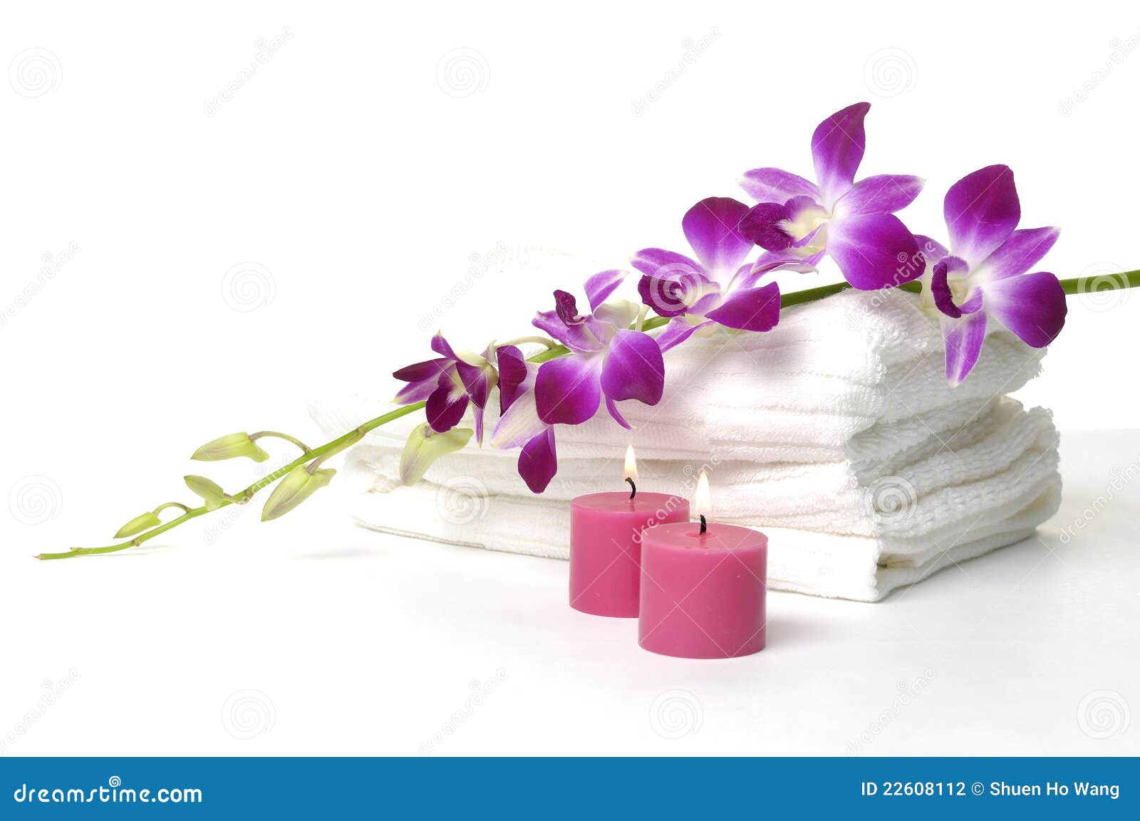 277 Spa Still Life White Red Orchid Photos Free Royalty Free Stock Photos From Dreamstime