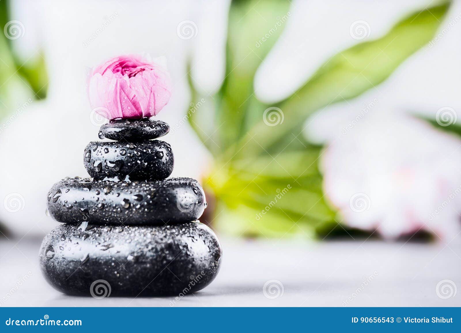 voorzichtig gemakkelijk cowboy Spa or Wellness Background with Stack of Hot Stones with Water Drops for  Massage and Pink Flower Stock Image - Image of reflection, bamboo: 90656543