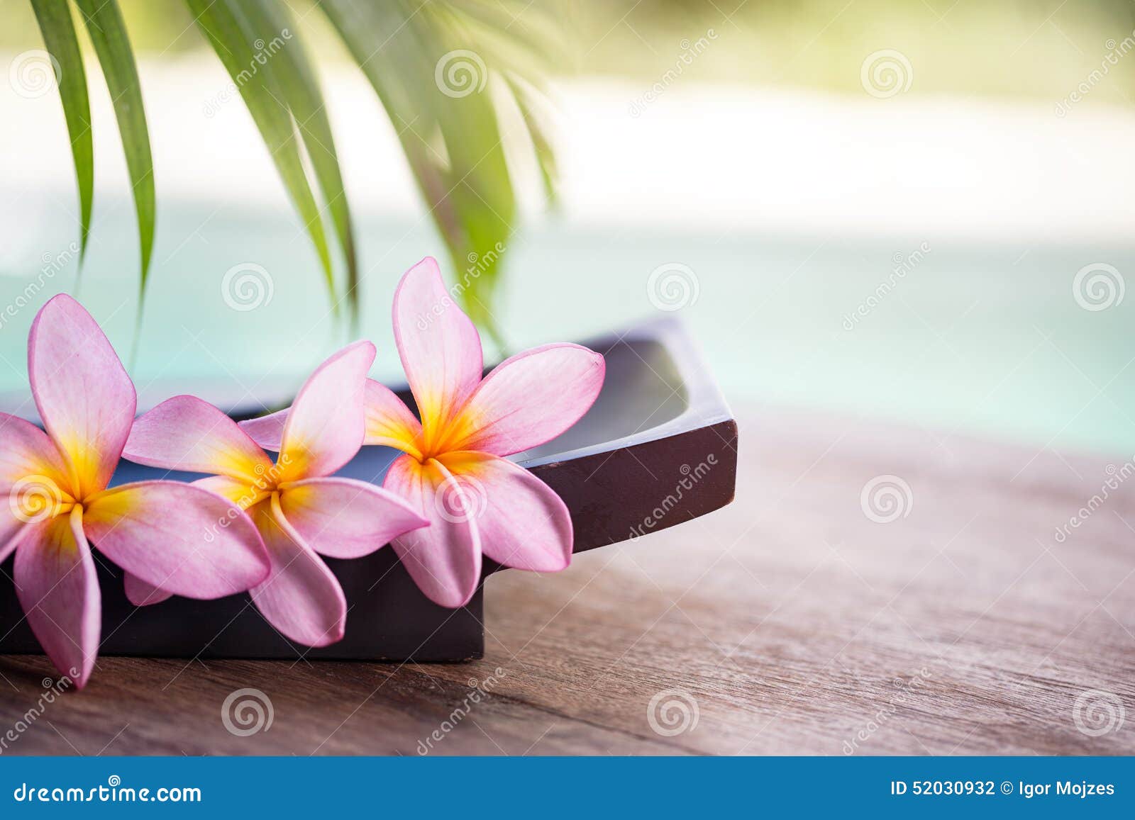 spa and wellness background