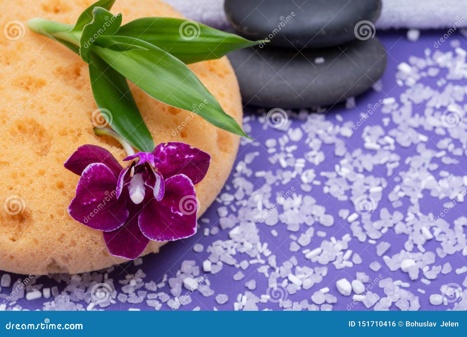 Spa Wellness Concept. Natural Foam Bath & Shower Sea Sponge, Stacked ...