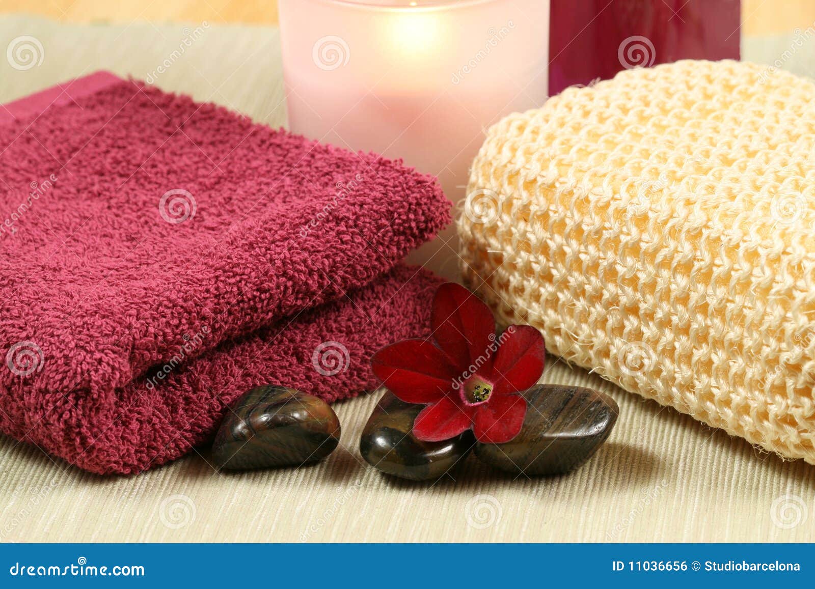 Spa and wellness therapy stock photo. Image of massage 11036656