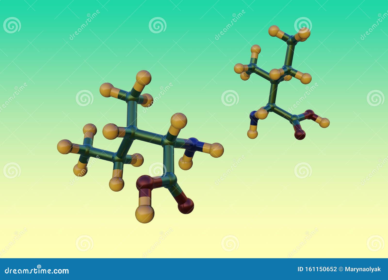 space-filling molecular model of l-isoleucine or isoleucine, an amino acid used in the biosynthesis of proteins