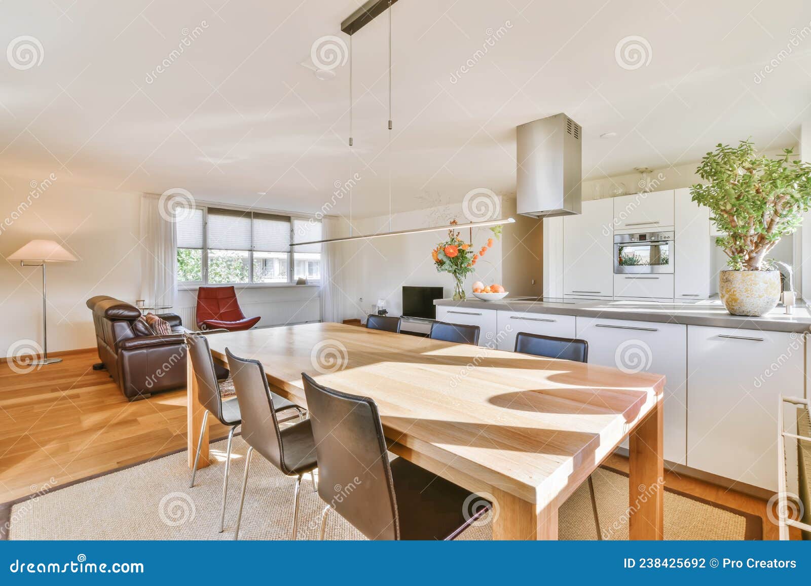 Spacious dining room stock photo. Image of decorative 238425692