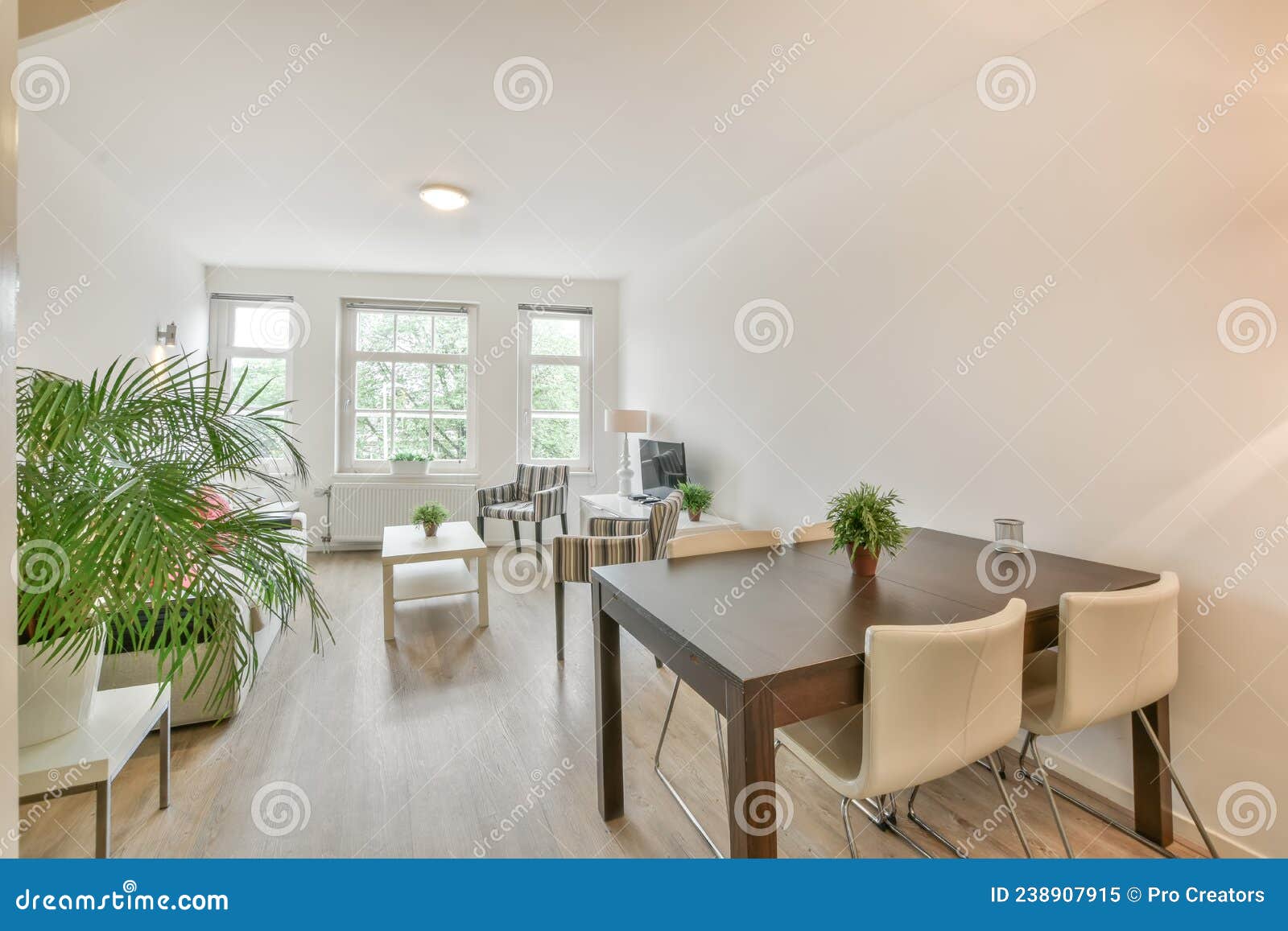 Spacious dining room stock image. Image of spacious 238907915
