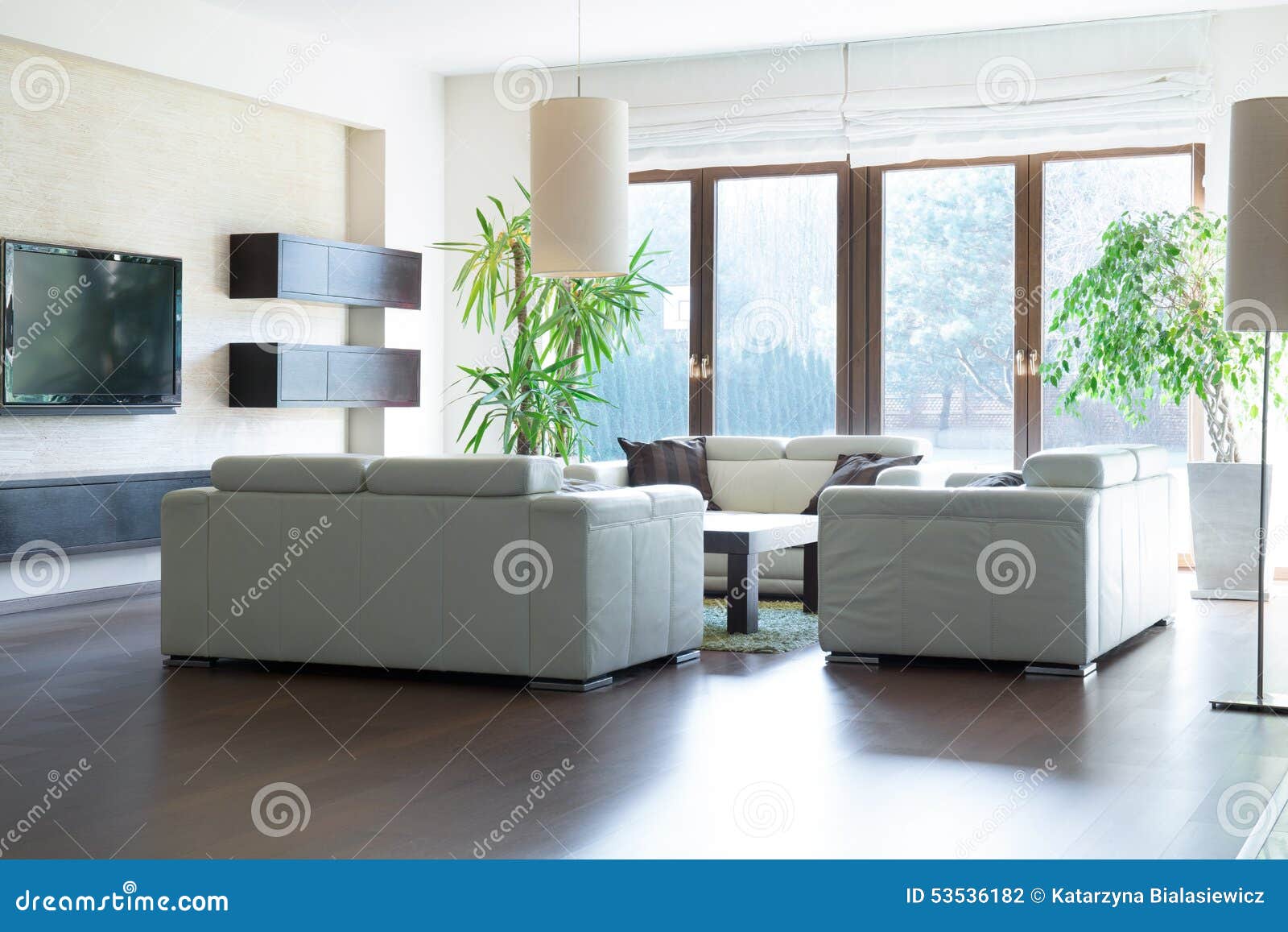 Spacious living room stock photo. Image of design, furnished 53536182