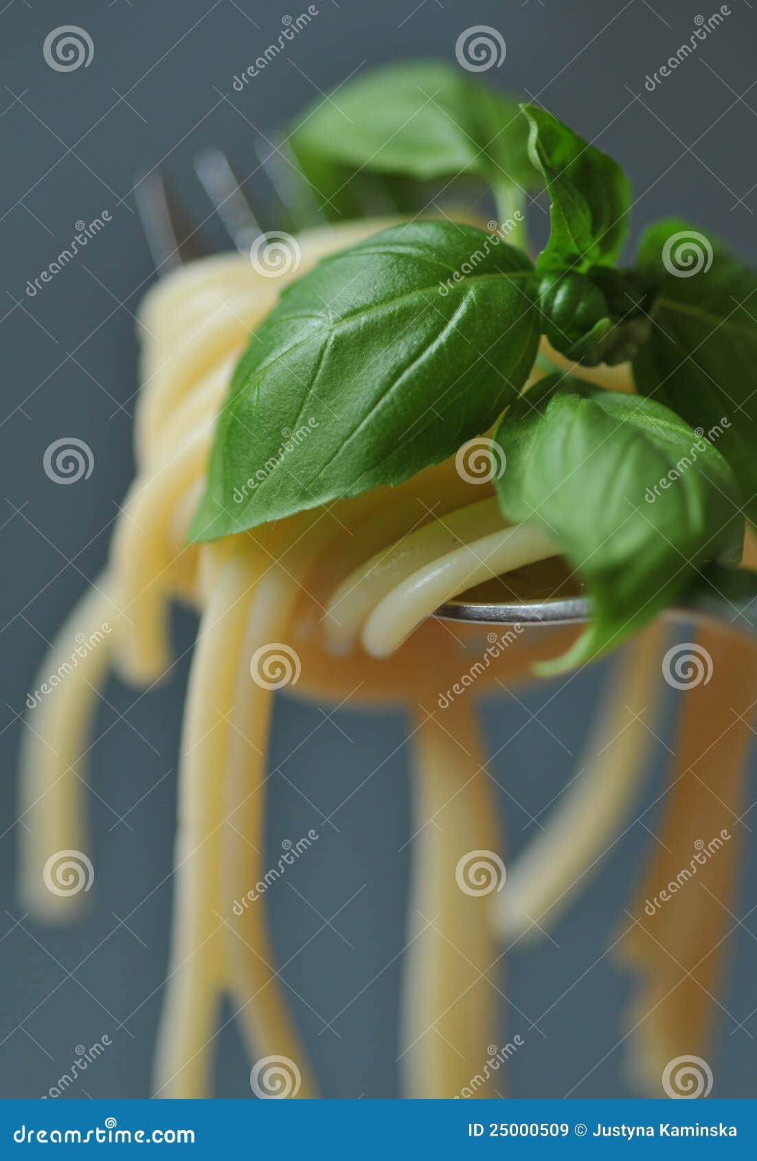 Spaghetti with Basil Leaves Stock Image Image of dish, spaghetti