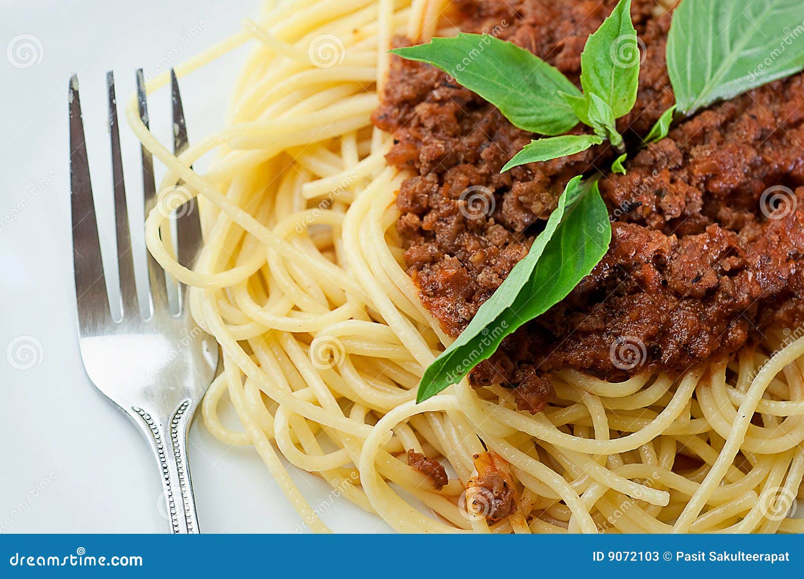 Spaghetti with Beef Creamy Sauce Stock Image Image of bacon, chili