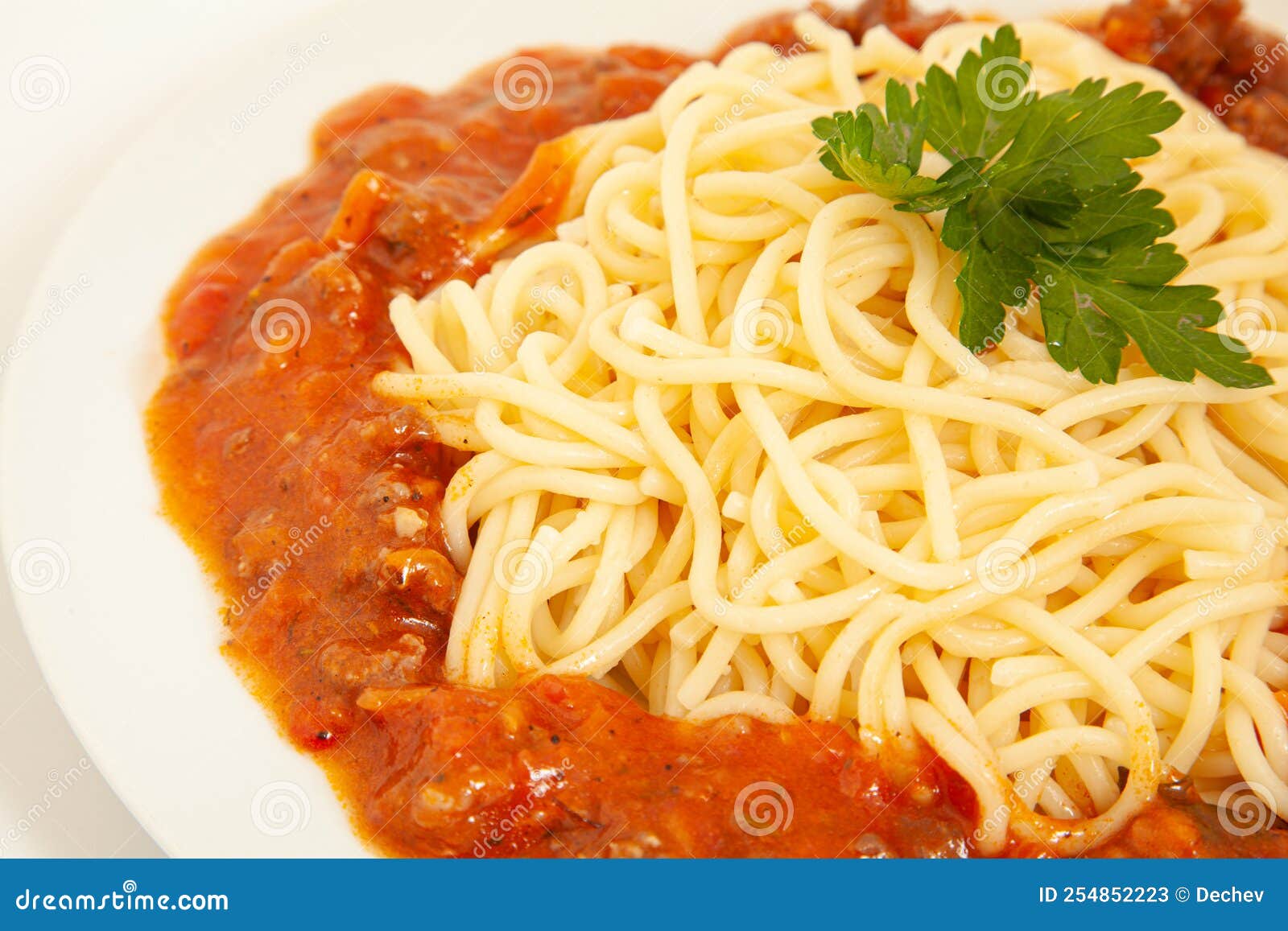 Spaghetti Bolognese Decorated with Leaf on a White Plate Stock Image