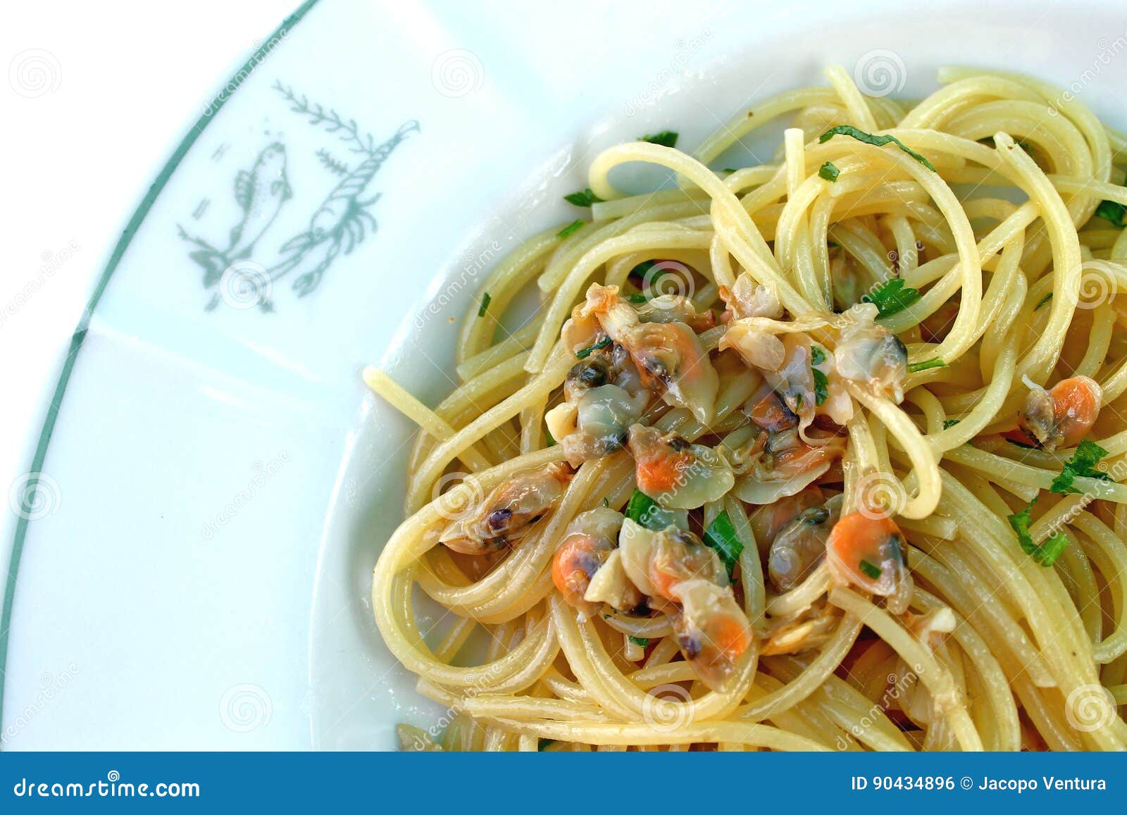 Spaghetti Pasta with Arselle Small Sea Clams Stock Photo Image of