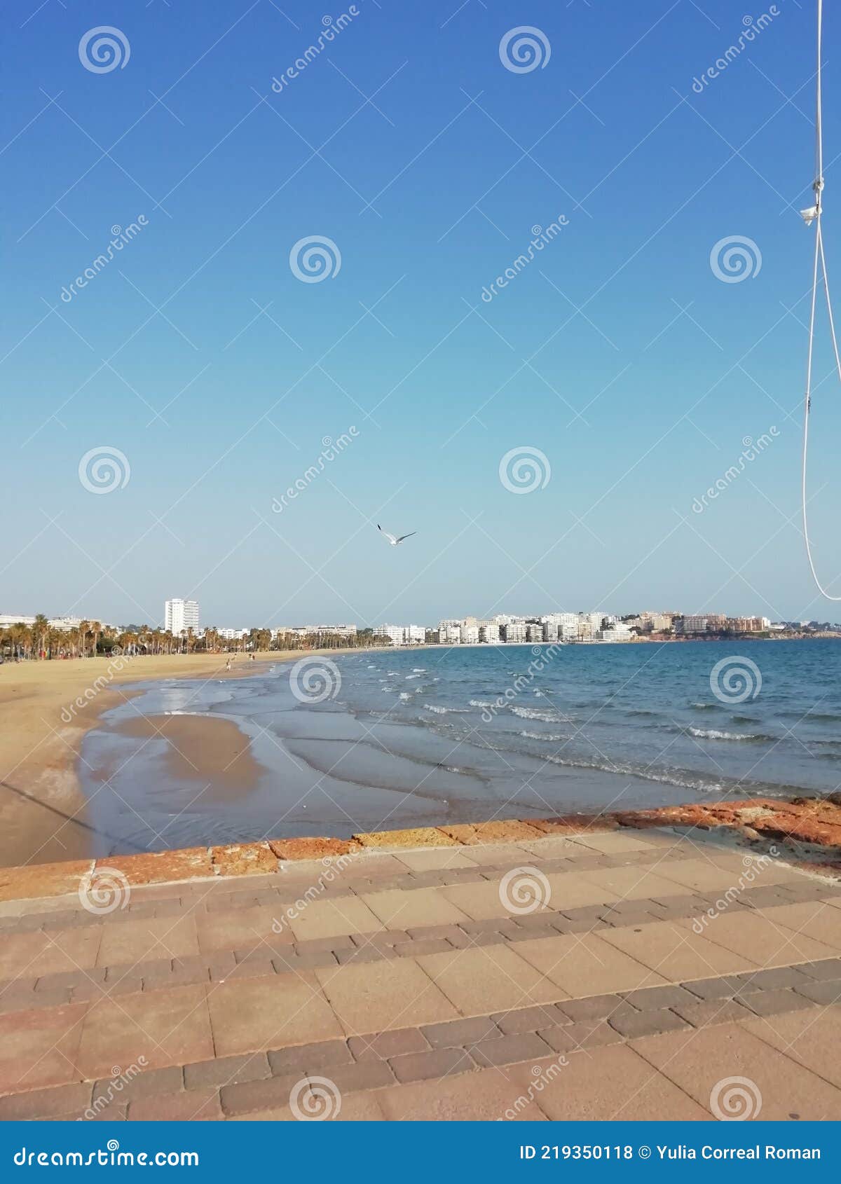 gran canaria swinging beach sexy photo