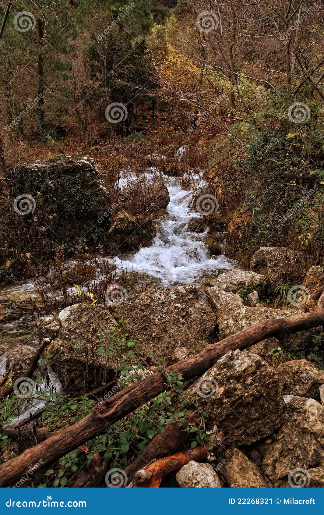 spain: source of the mundo river