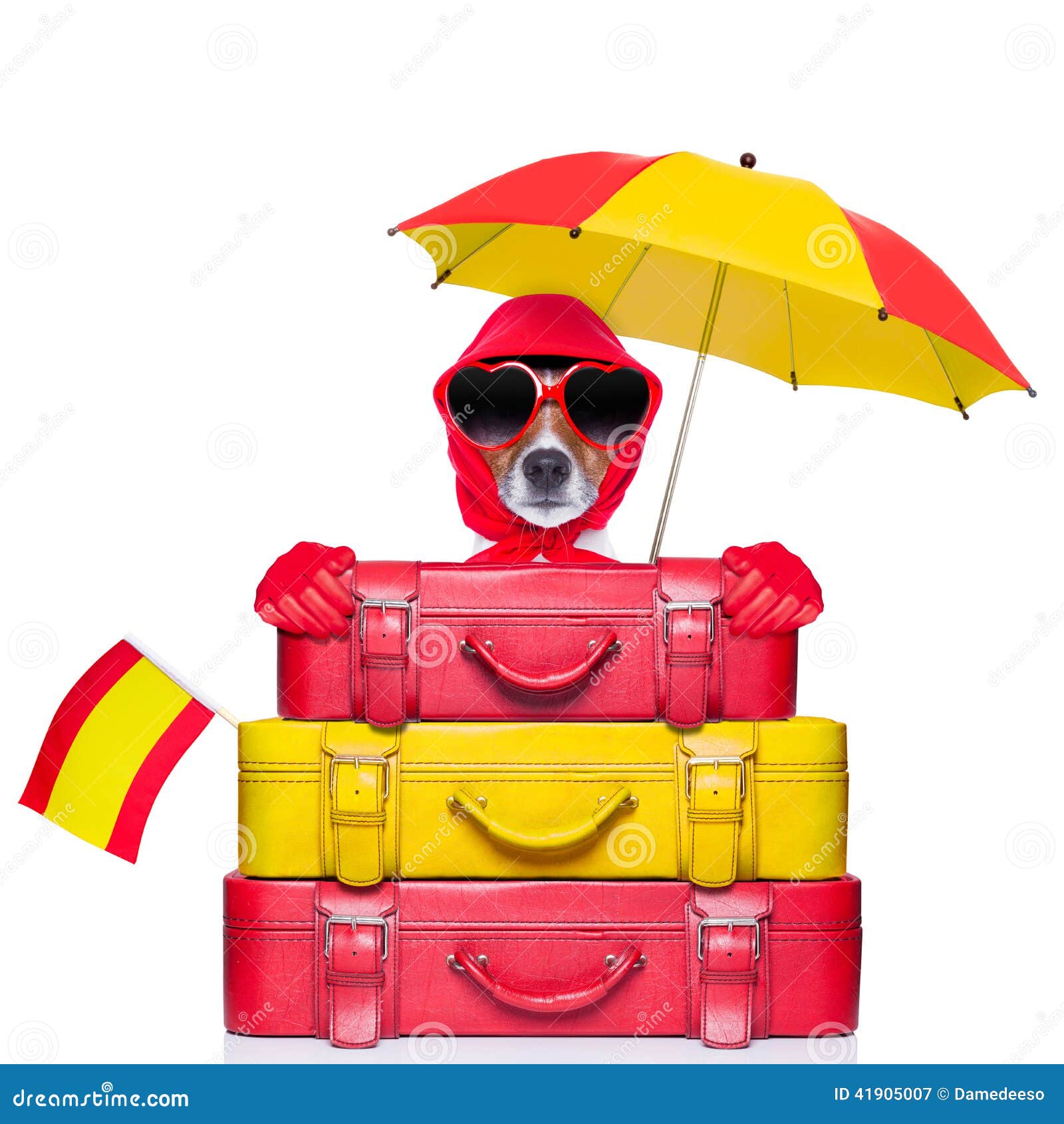 SpanienHund stockbild. Bild von flughafen, zigeuner 41905007