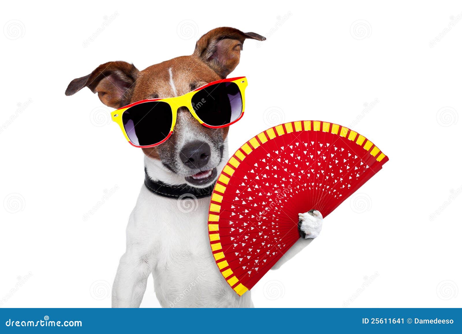 Spanischer Hund stockbild. Bild von haustier, lateinisch 25611641