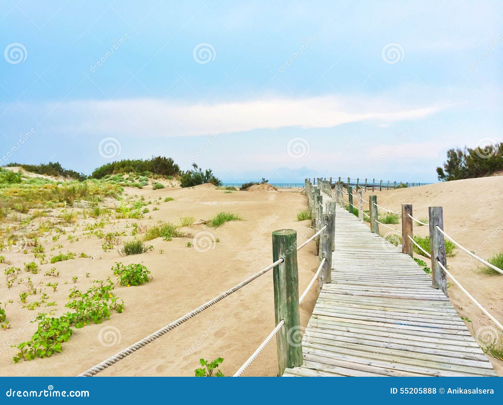Spanish Beach with White Sand Dunes Stock Photo Image of vacation
