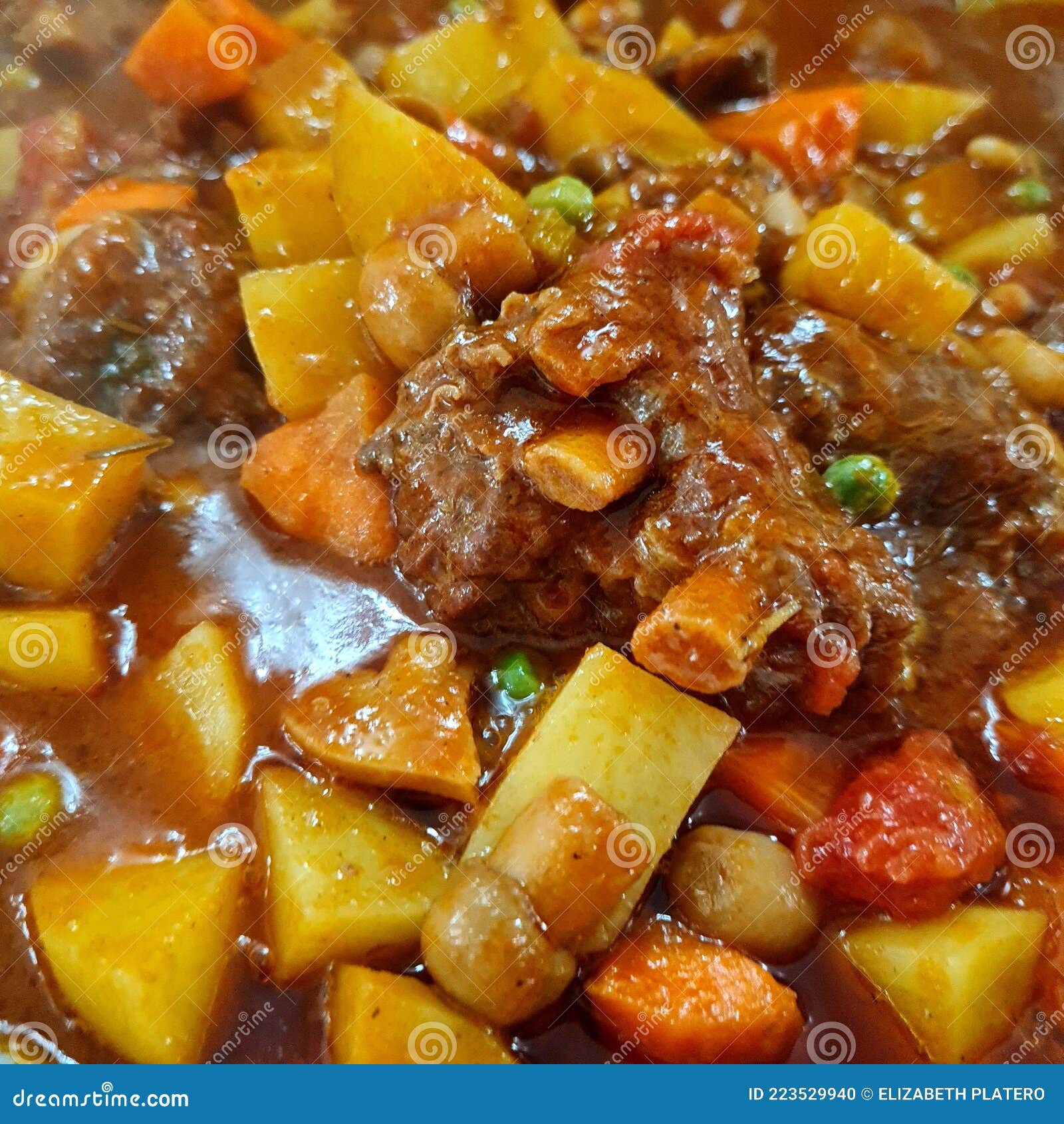 Spanish Beef Stew stock photo. Image of spanish, stew 223529940