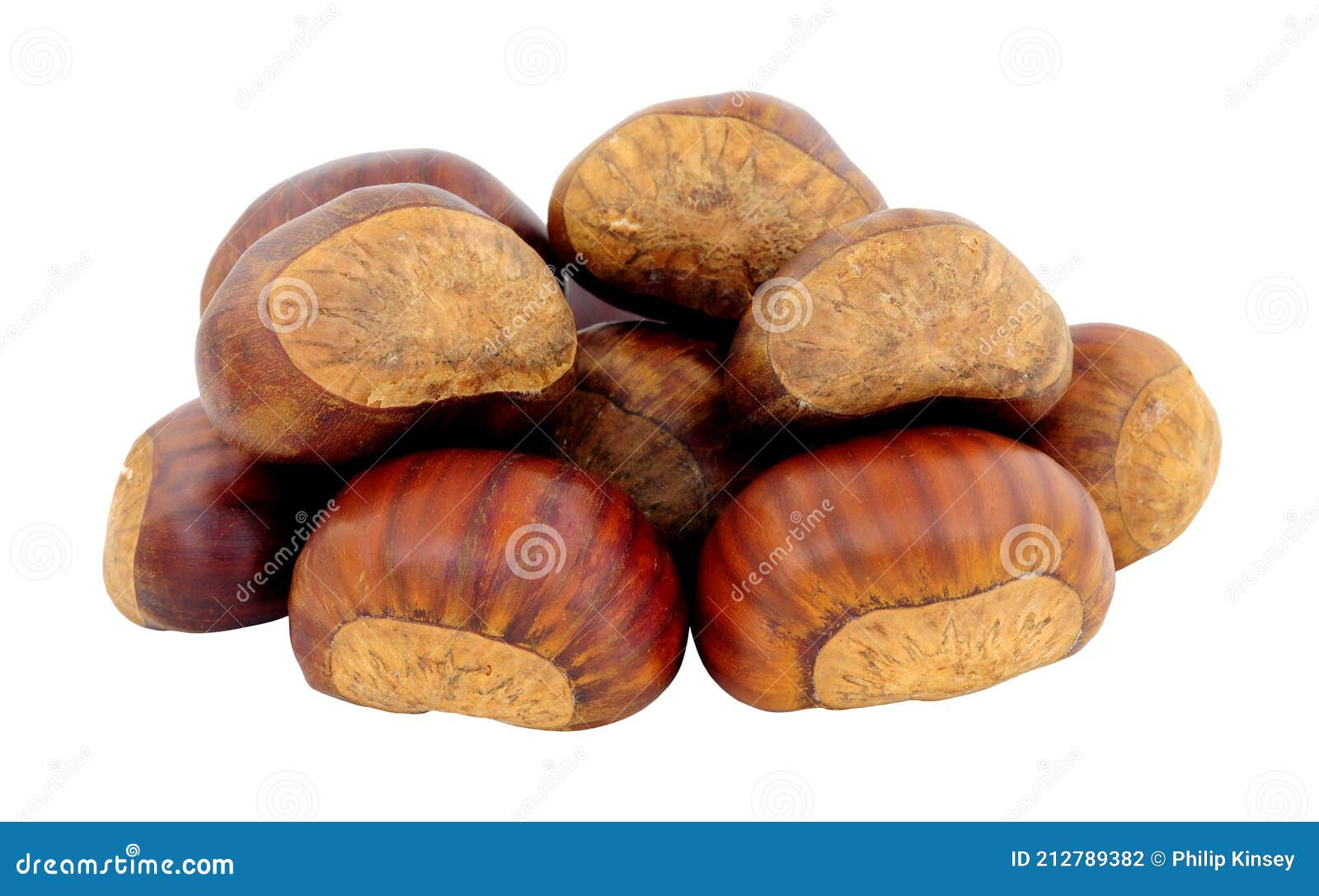Spanish Chestnuts in Shells Stock Photo Image of isolated, seeds