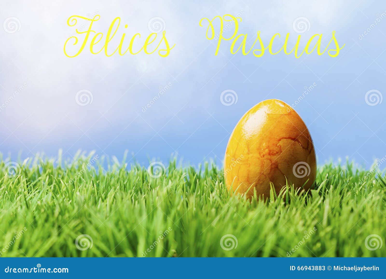 Spanish Easter Greeting Text; Yellow Easter Egg in Grass Stock Image