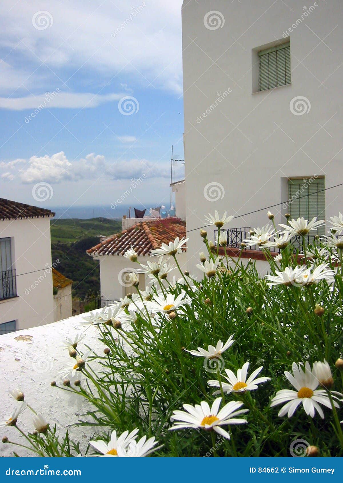 spanish flowers pueblo blanco andalucia